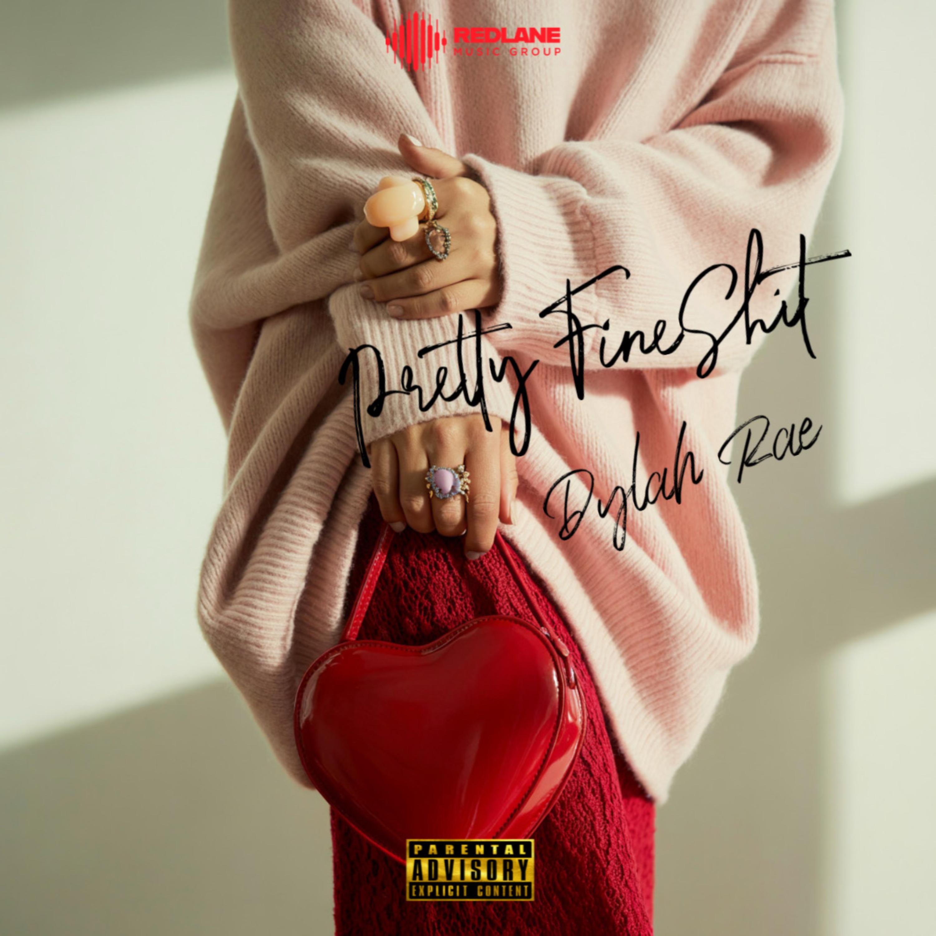 Pretty Fine Shit artwork