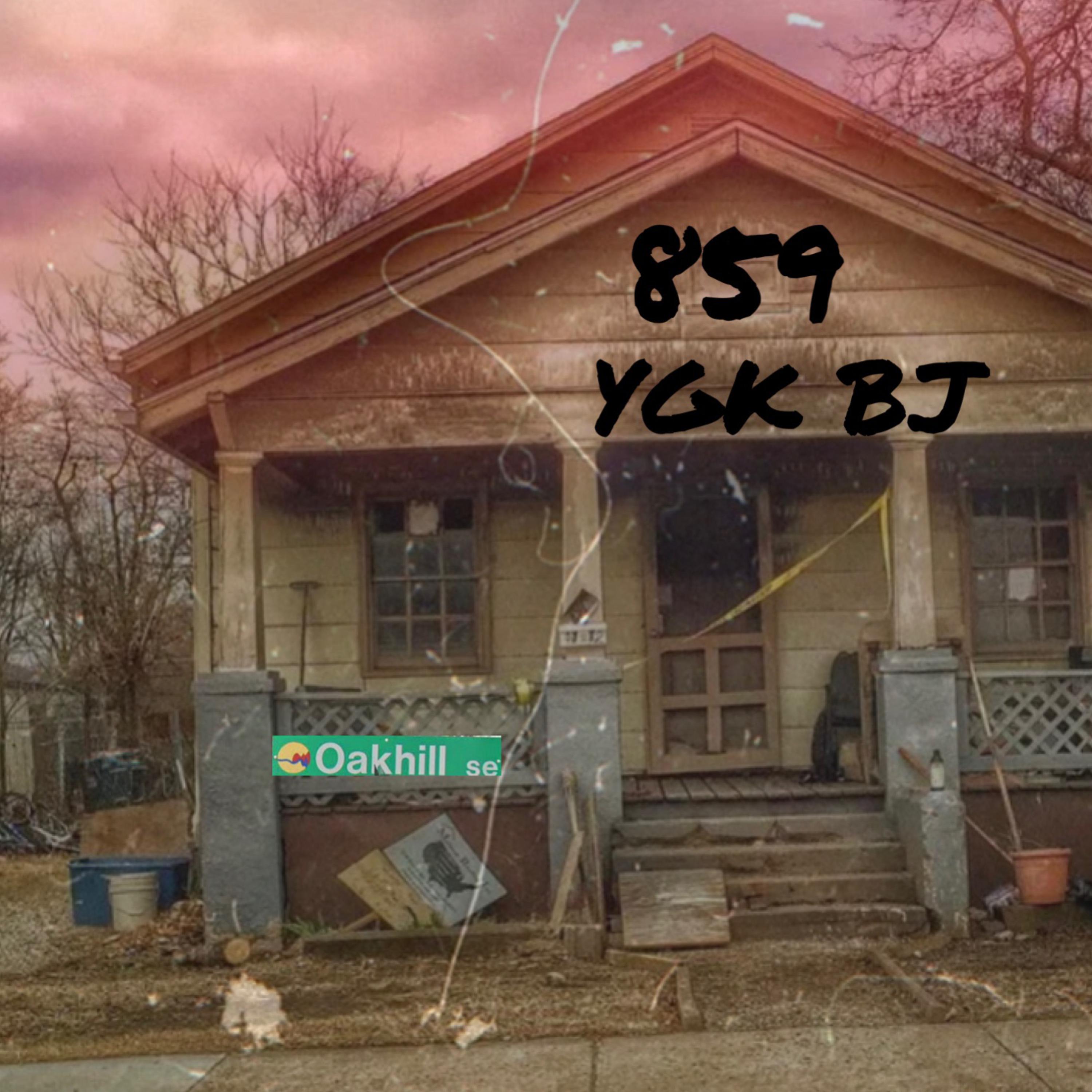 859 artwork