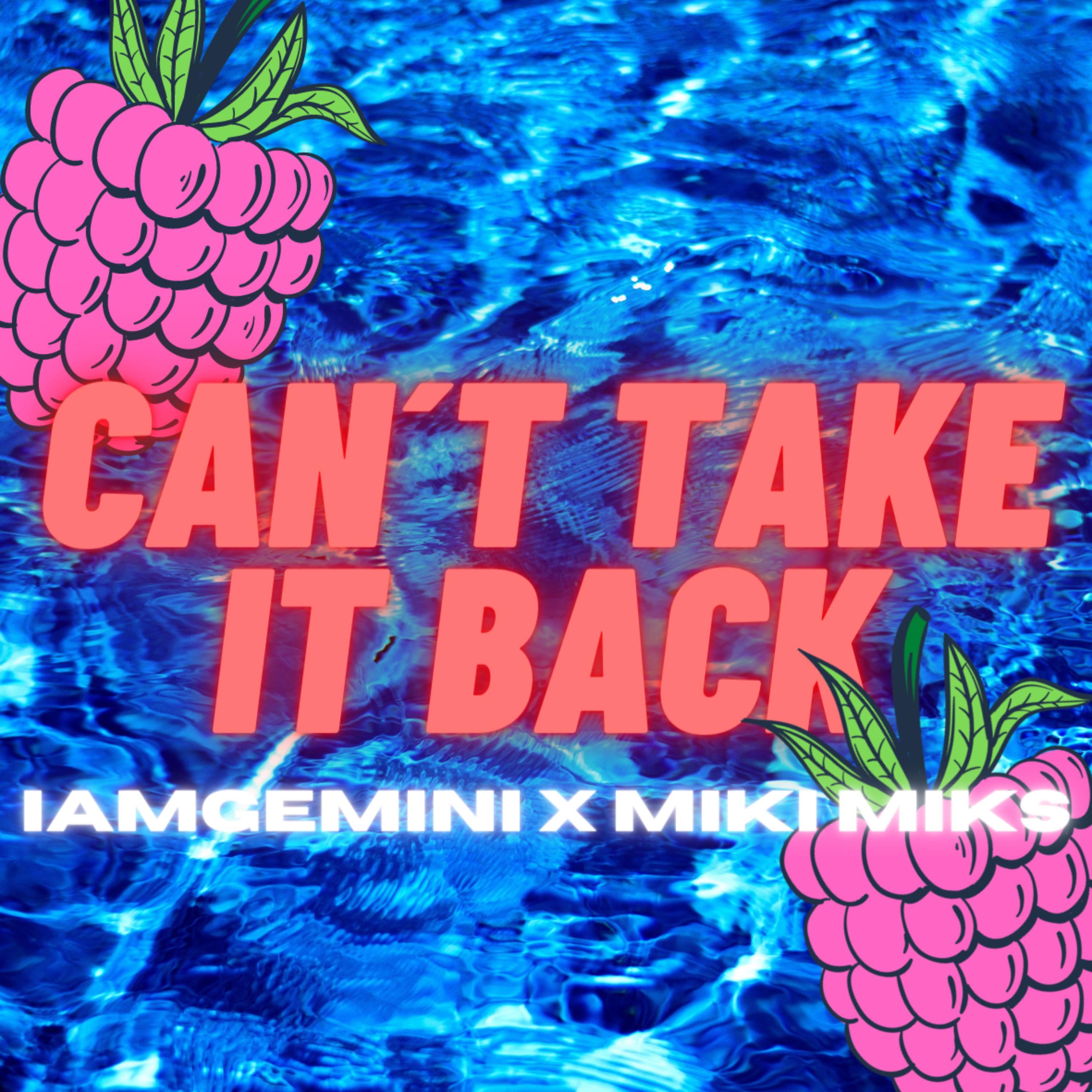 CAN'T TAKE IT BACK by IAMGEMINI cover art
