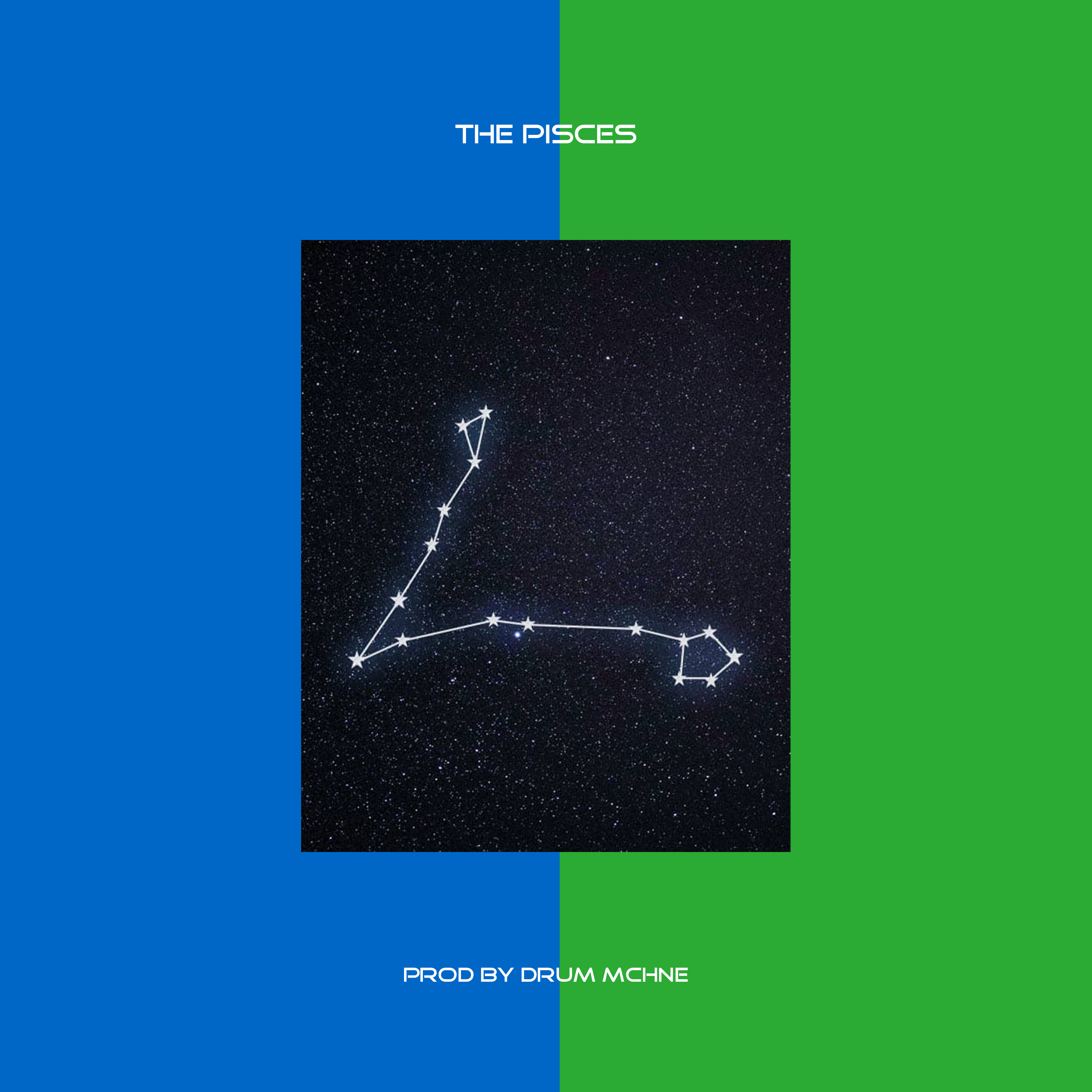 THE PISCES by Ra Matthews cover art