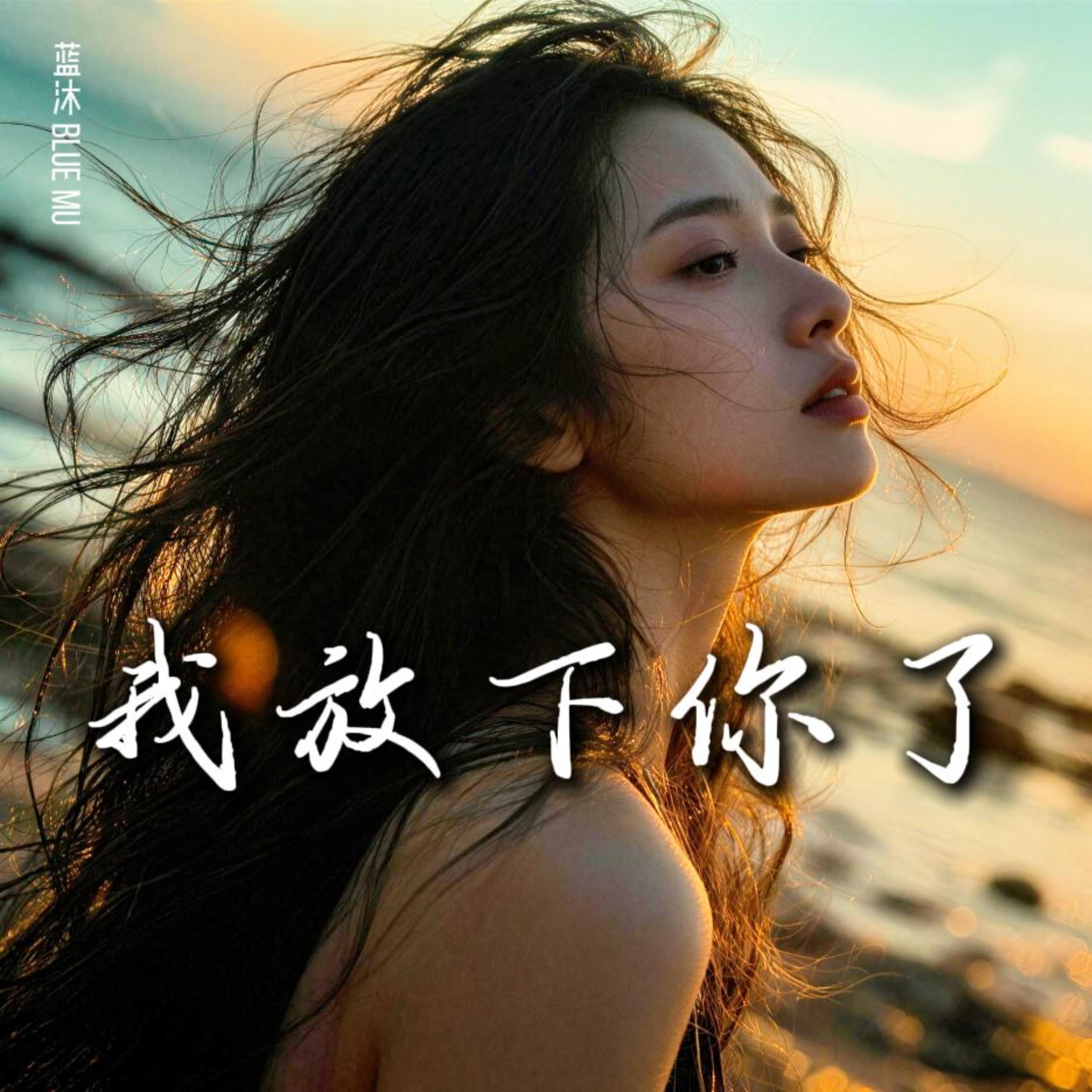 我放下你了 by 蓝沐 Blue Mu cover art