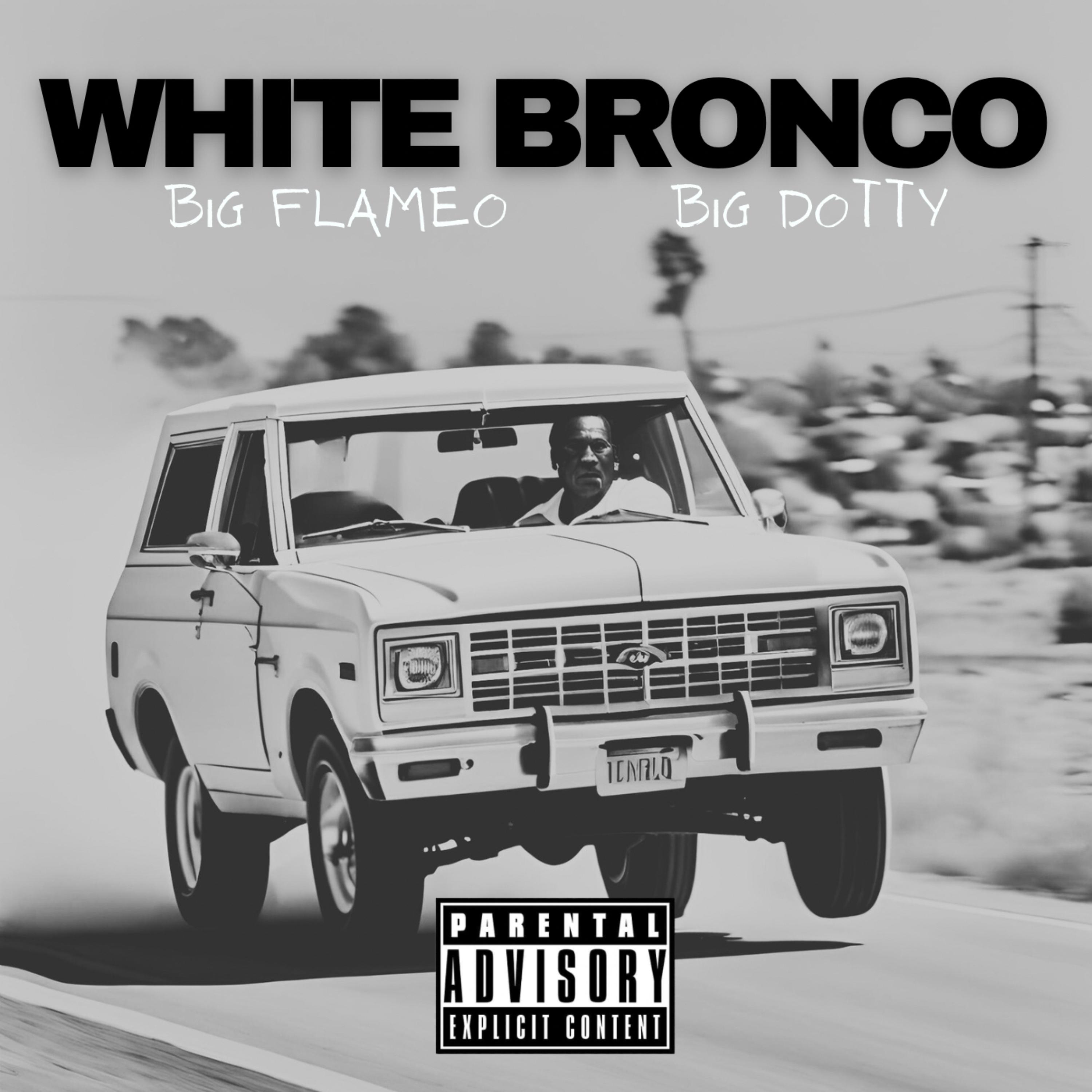 WHITE BRONCO artwork