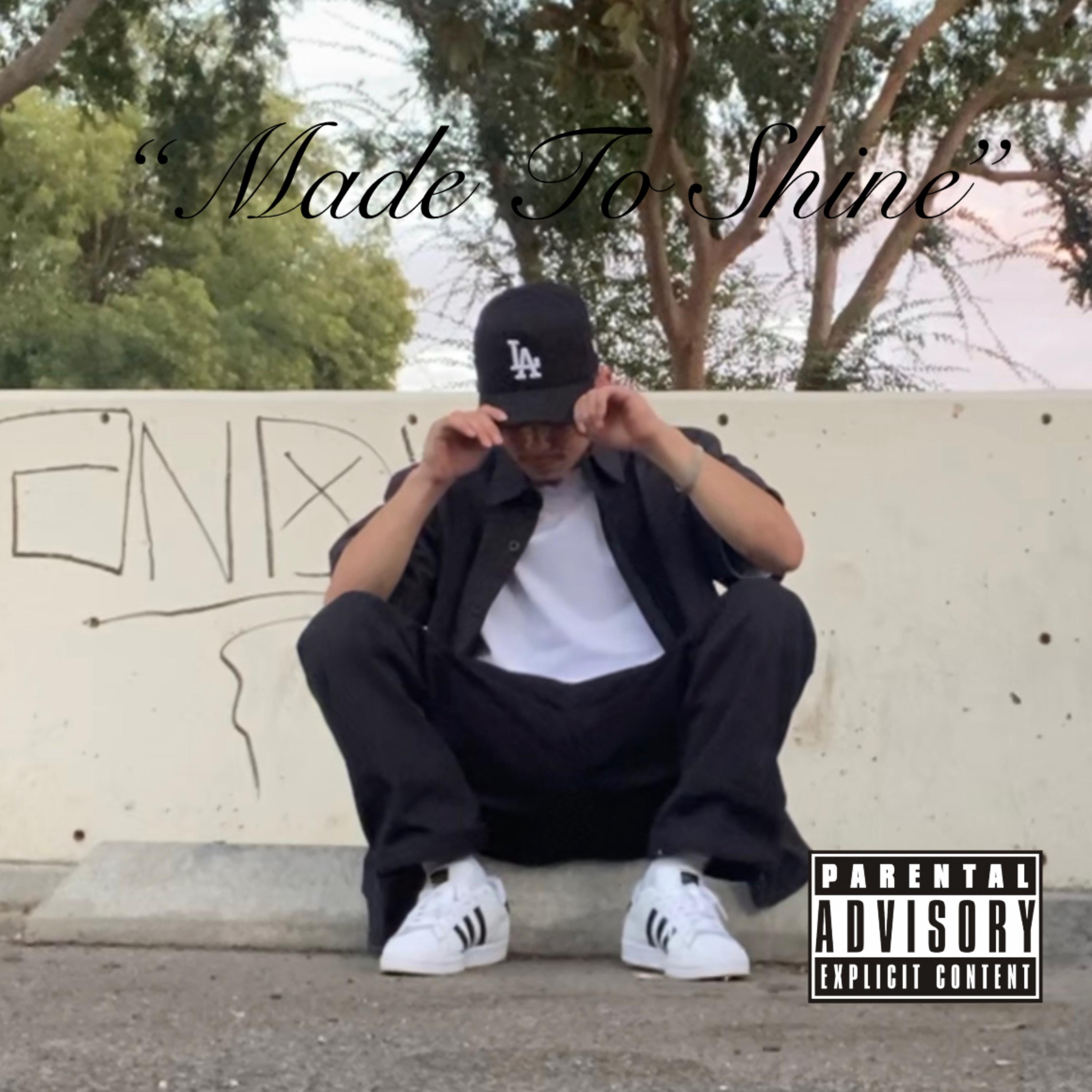 Made To Shine artwork