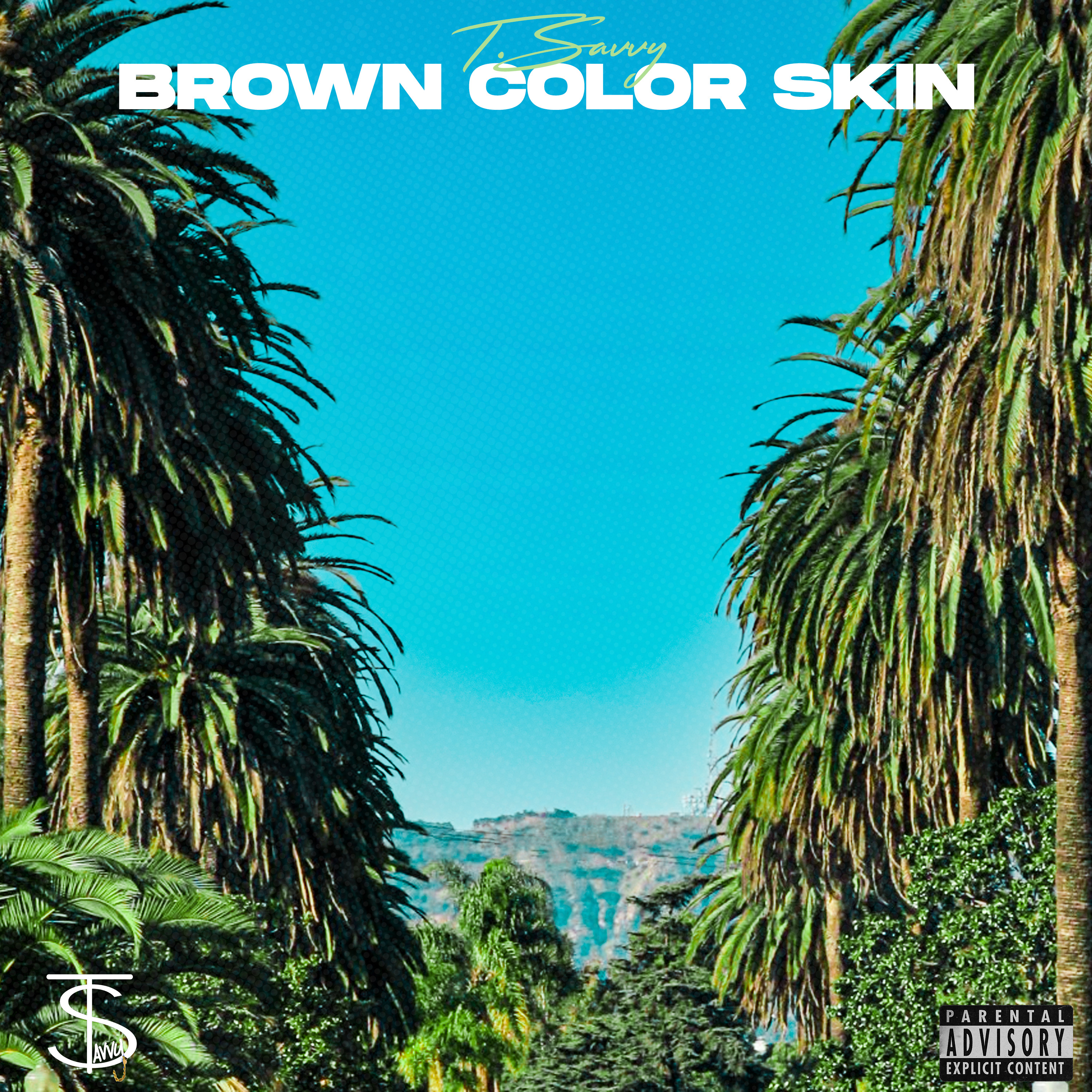 Brown Color Skin by T.Savvy  cover art