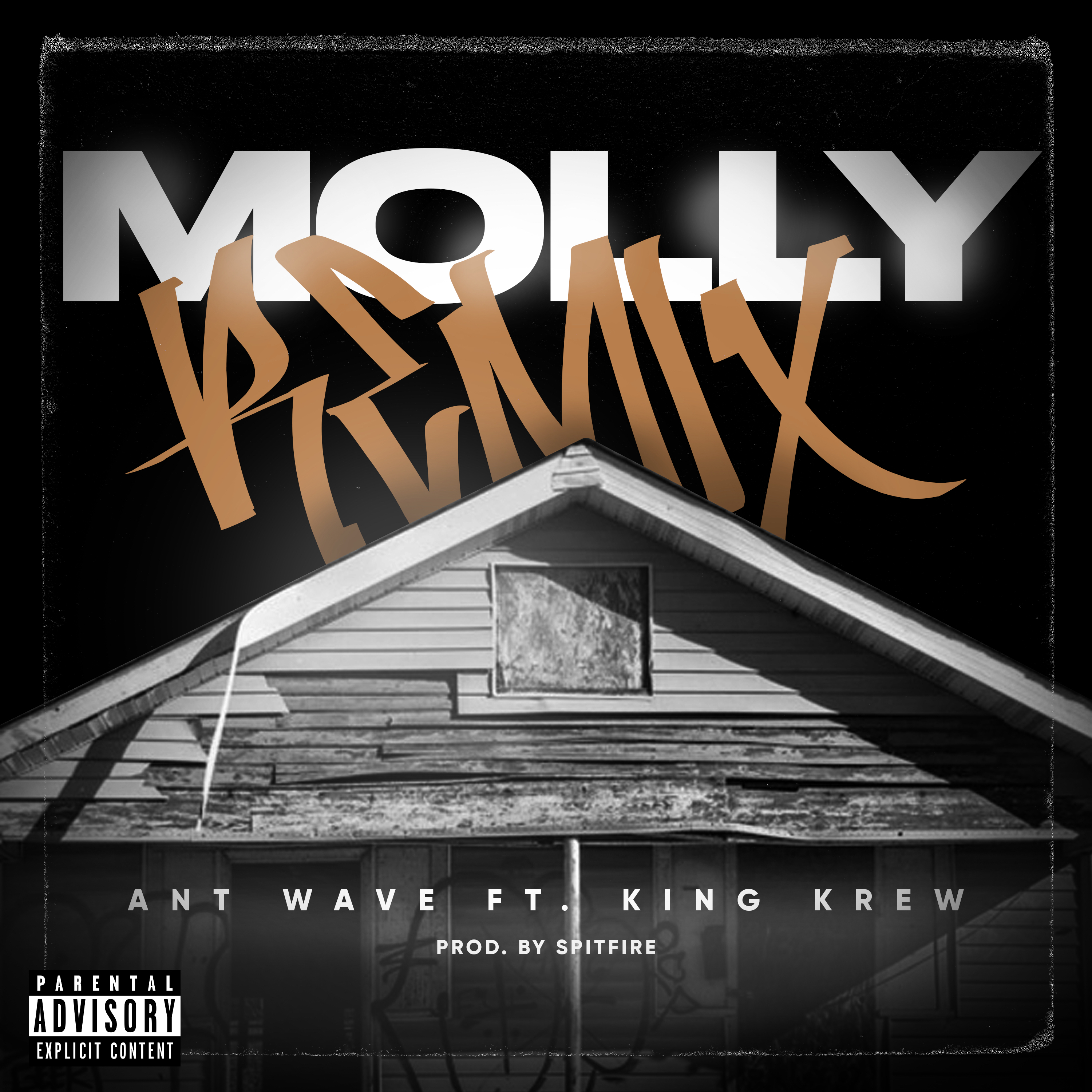 Molly (Remix) artwork