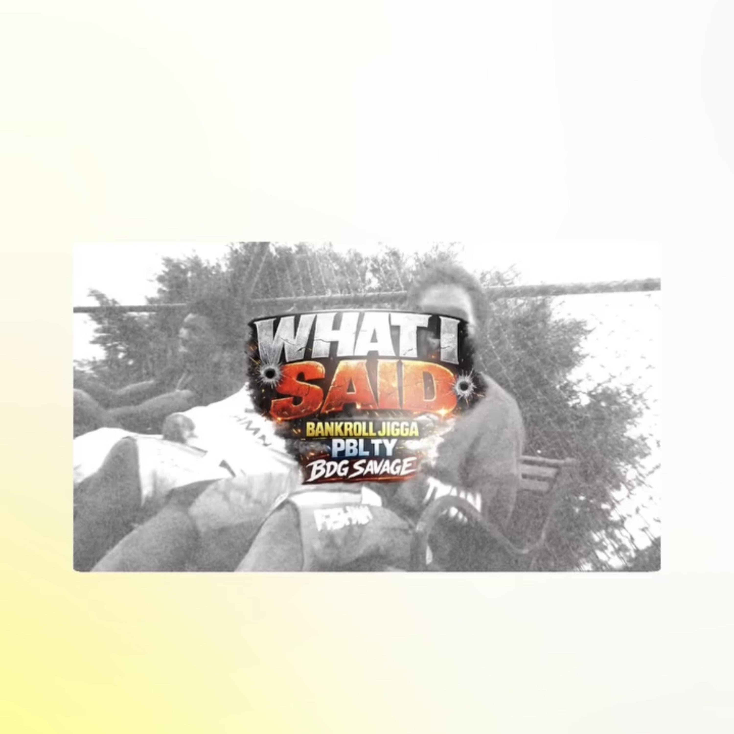 What I Said by Bankroll Jigga cover art