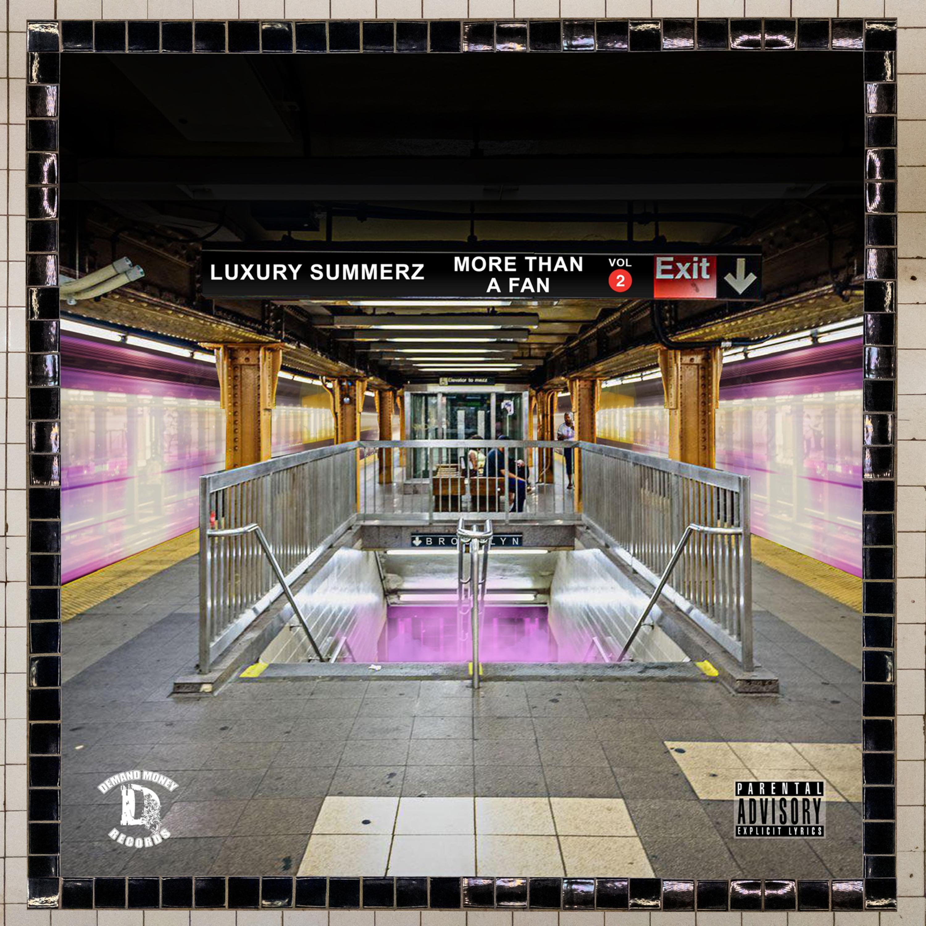 More Than A Fan Volume 2 artwork