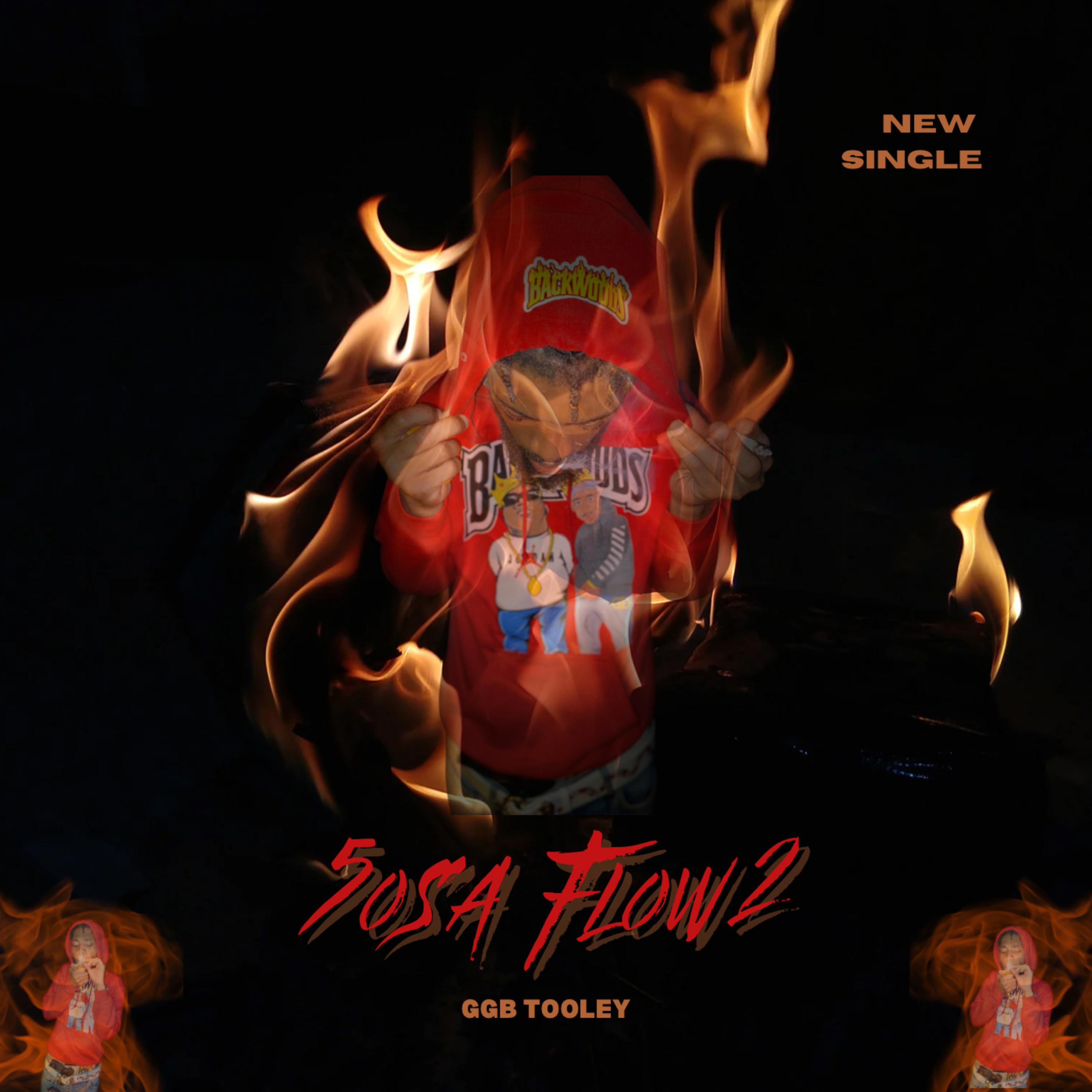 5osa Flow 2 artwork