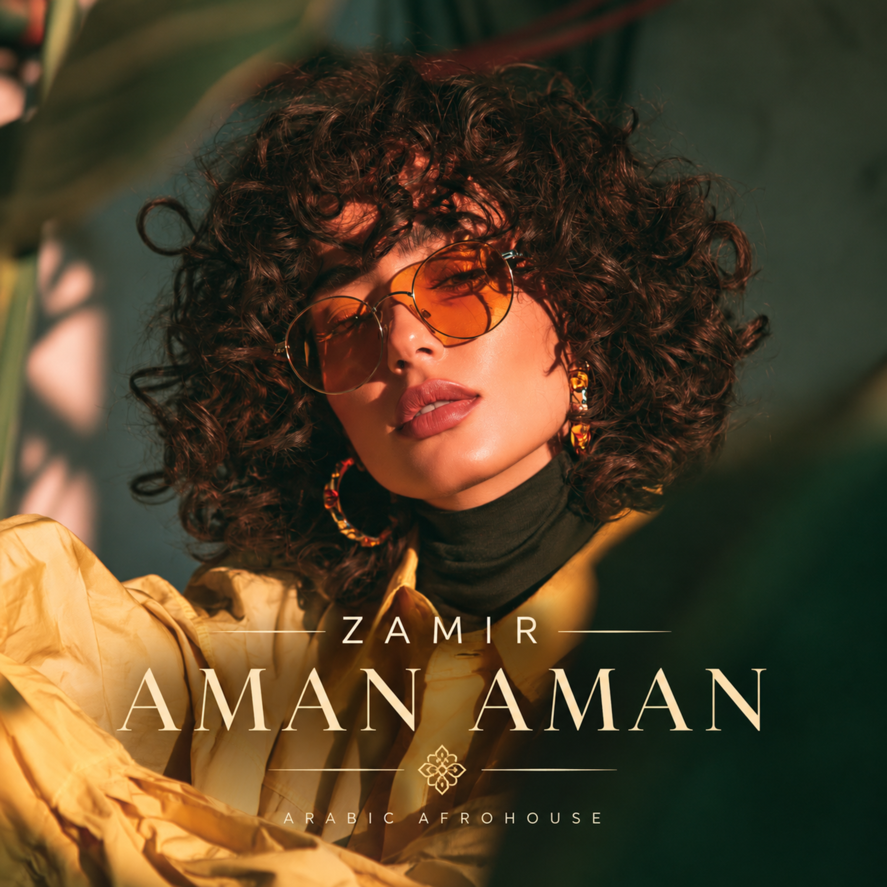 Aman Aman by Zamir cover art