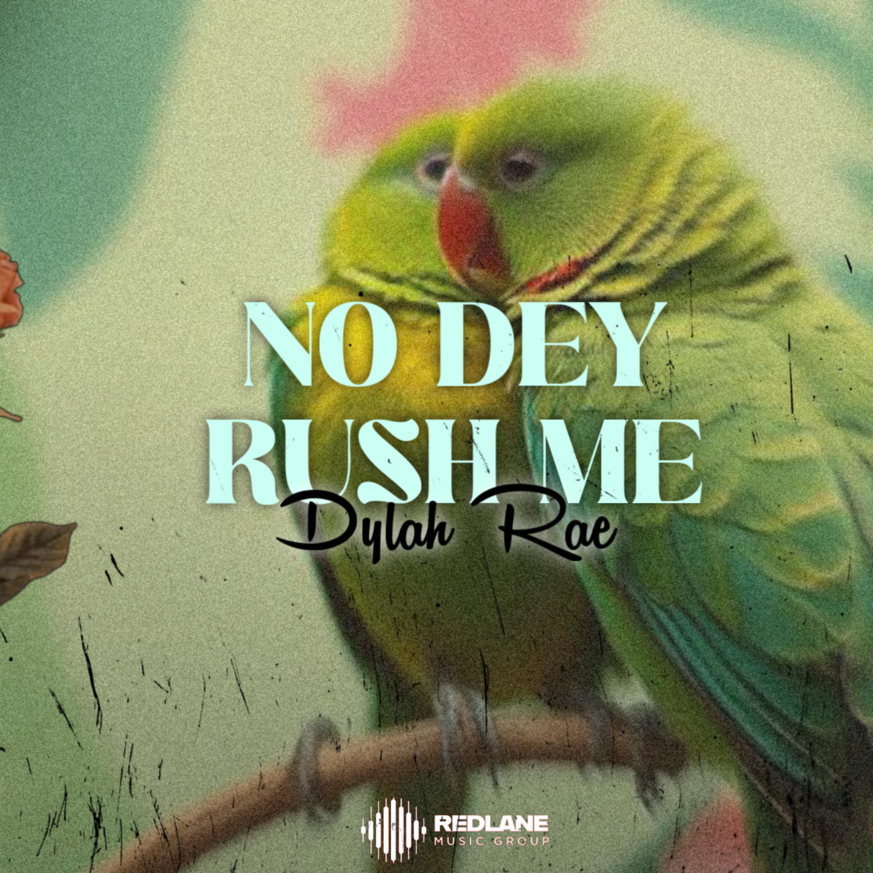 No Dey Rush Me artwork