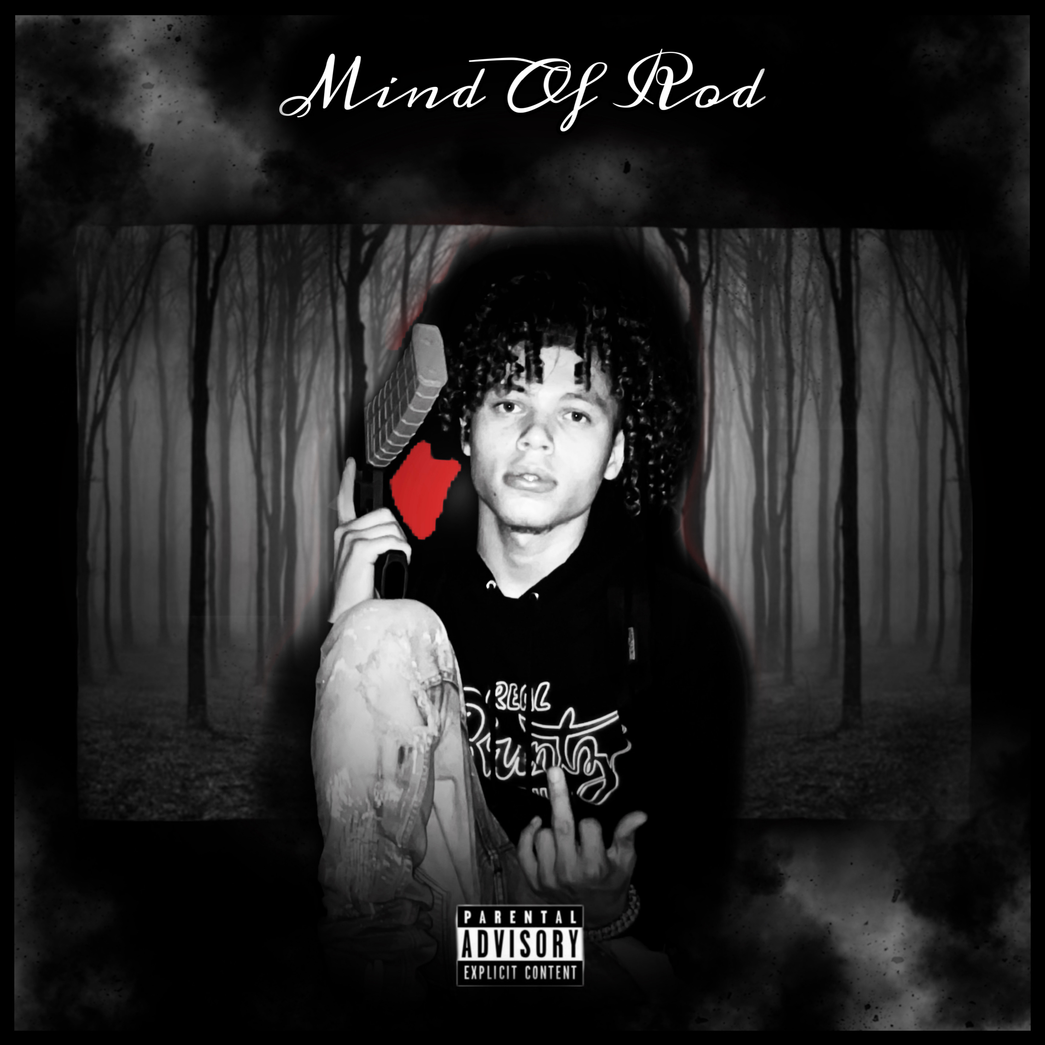 Mind Of Rod artwork