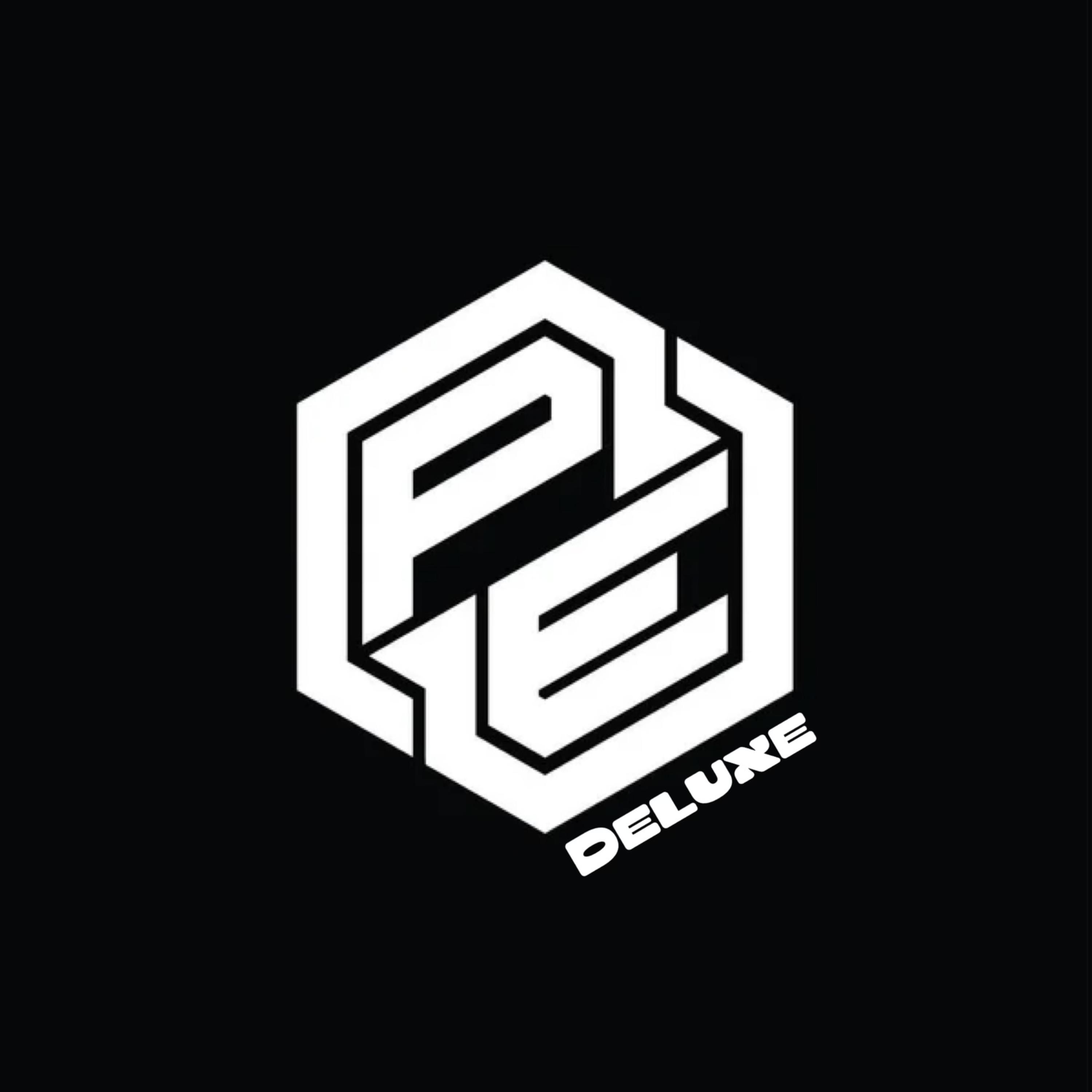 PE MOTION artwork