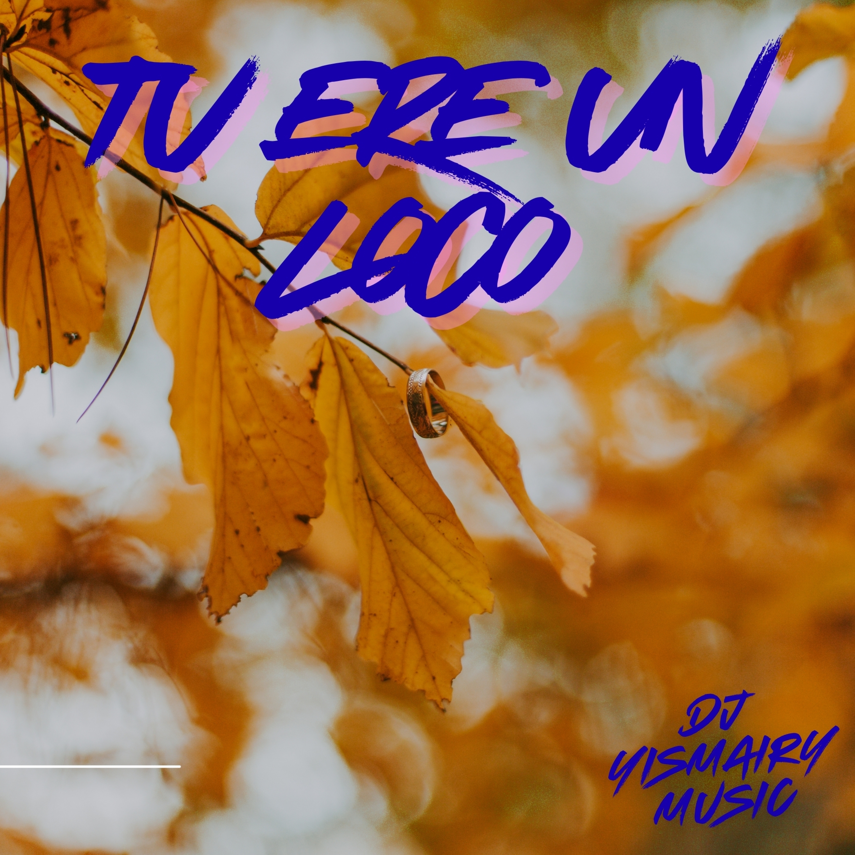 Tu Ere Un Loco artwork