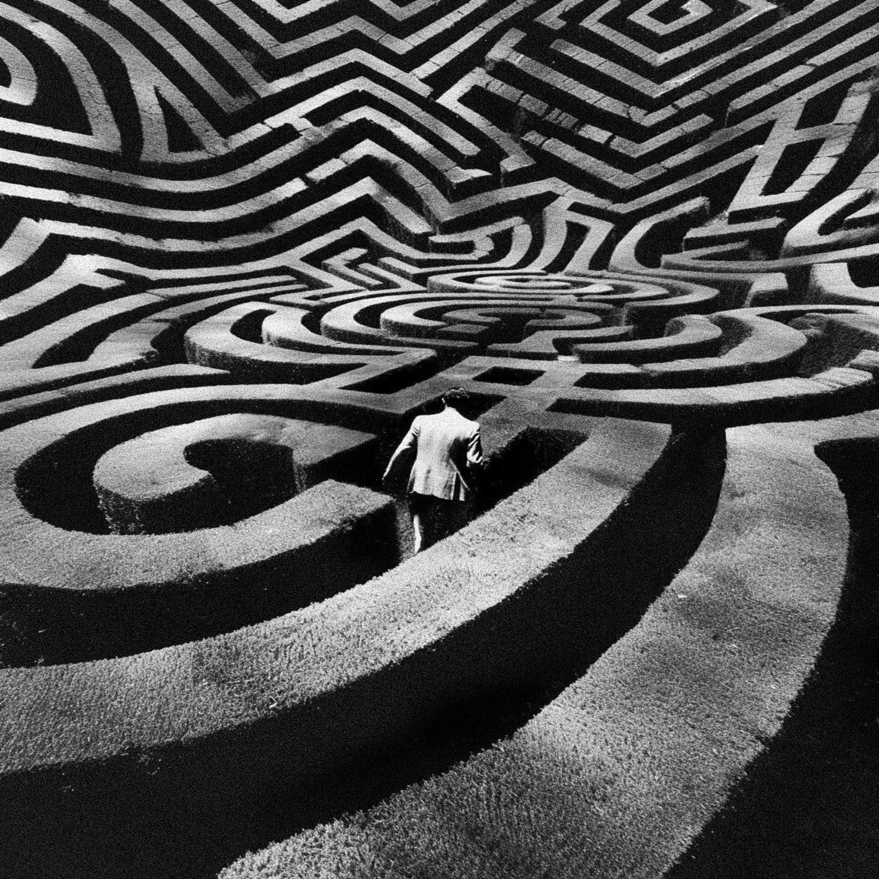 MAZE artwork