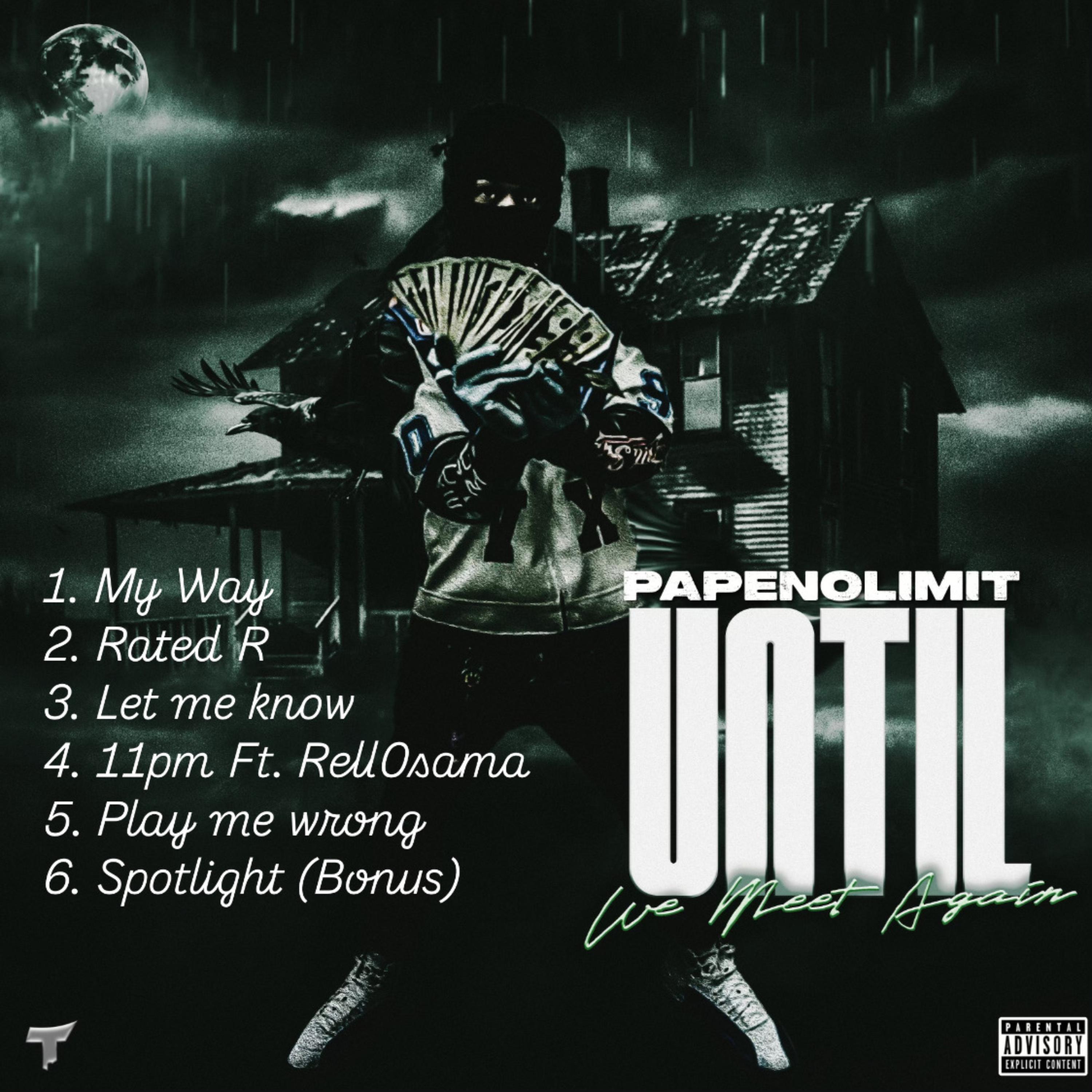 Until We Meet Again artwork