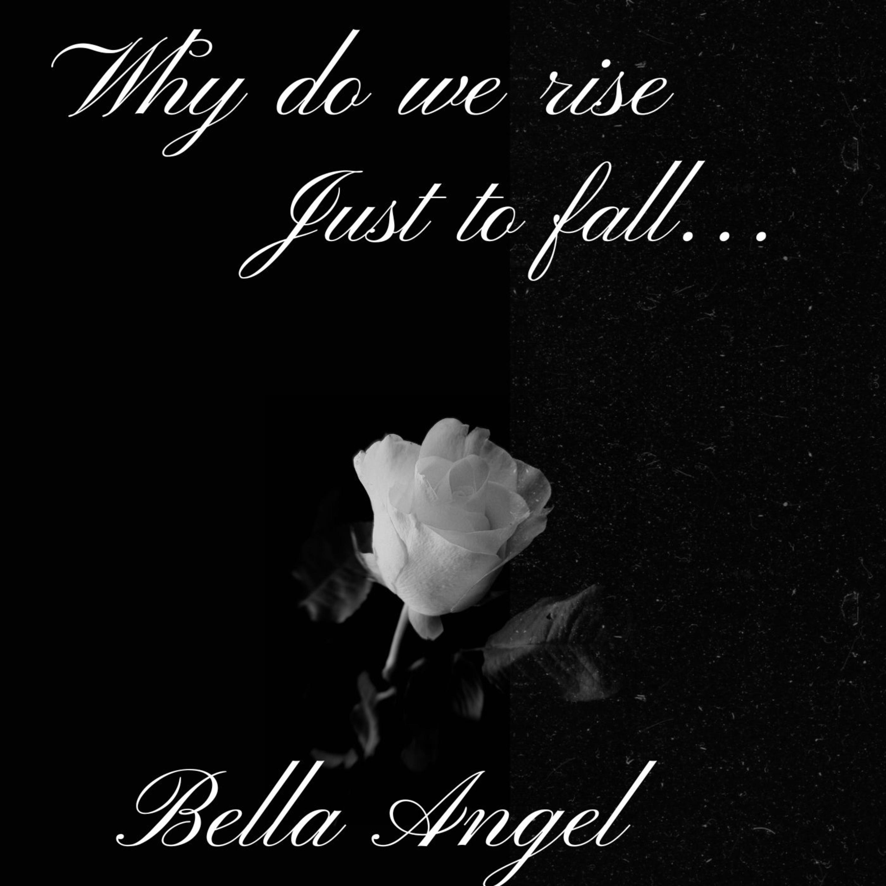 Why Do We Rise Just To Fall by Bella Angel cover art