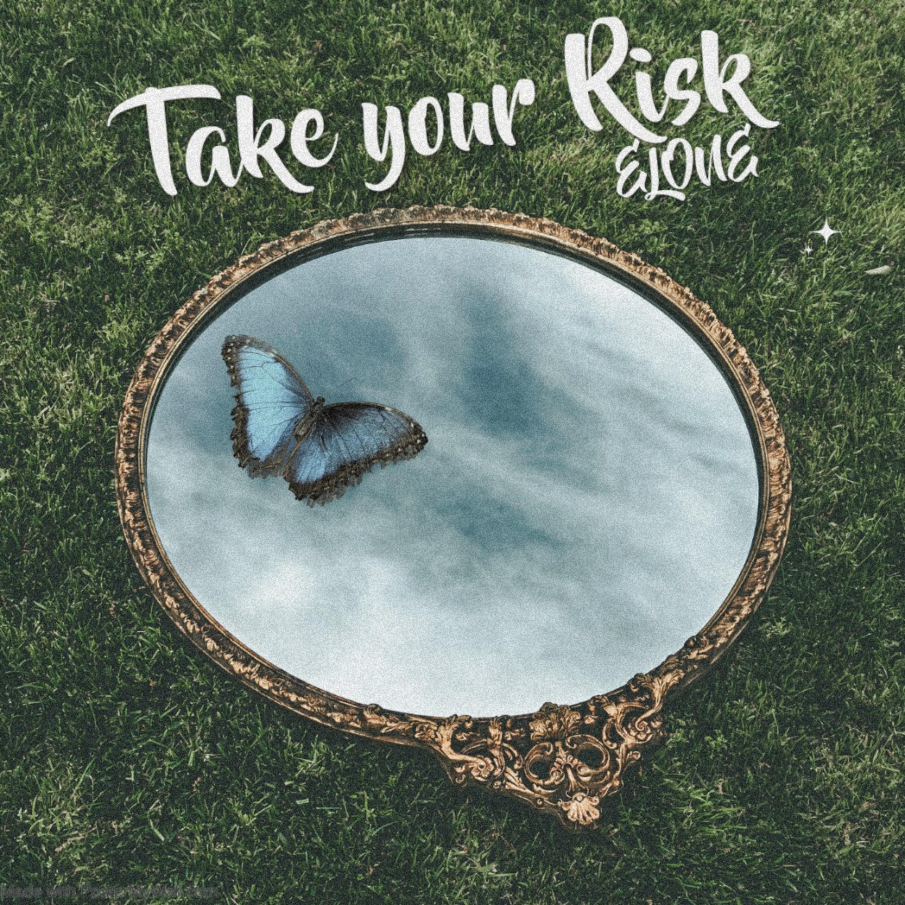 Take Your Risk artwork