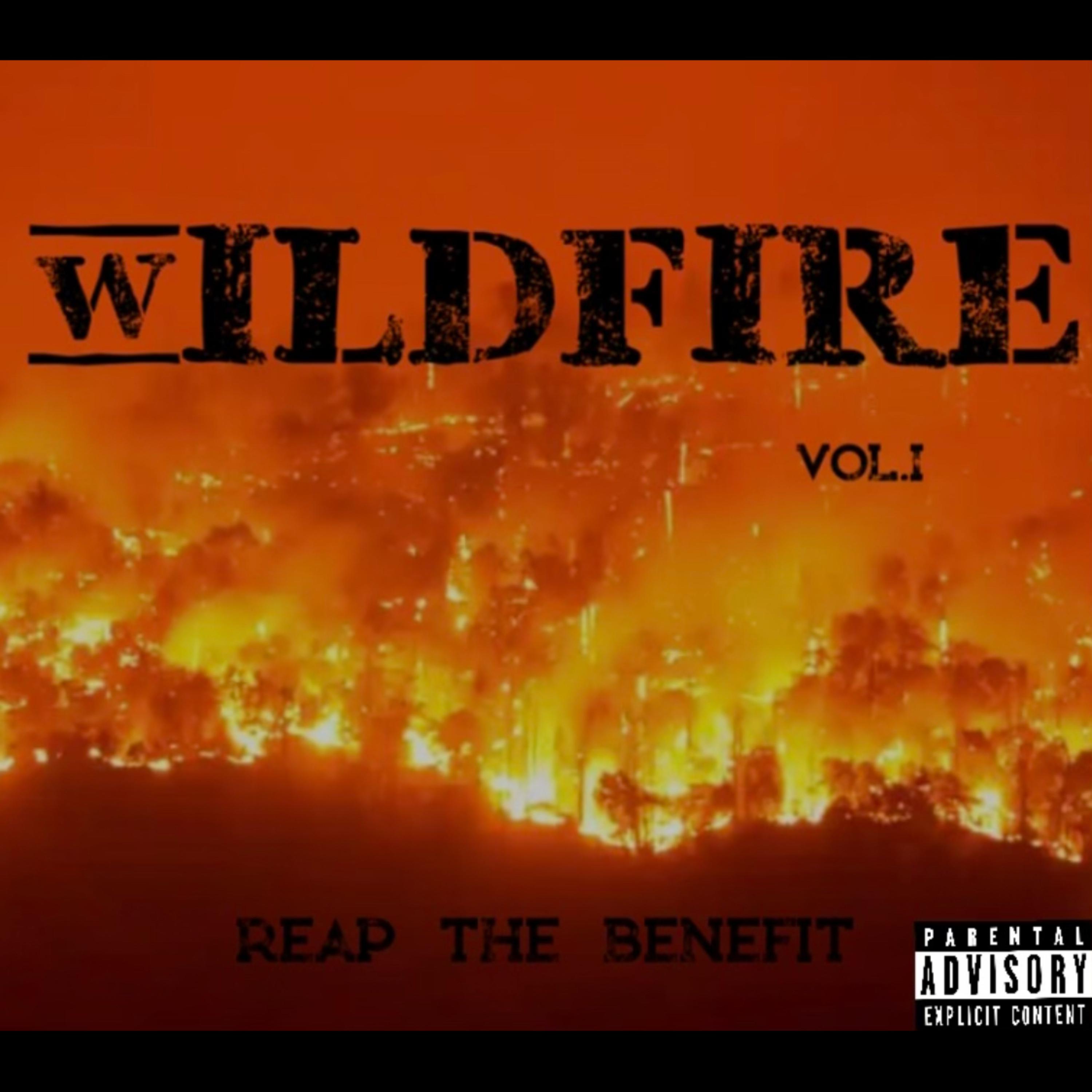 WILDFIRE by REAP The Benefit cover art