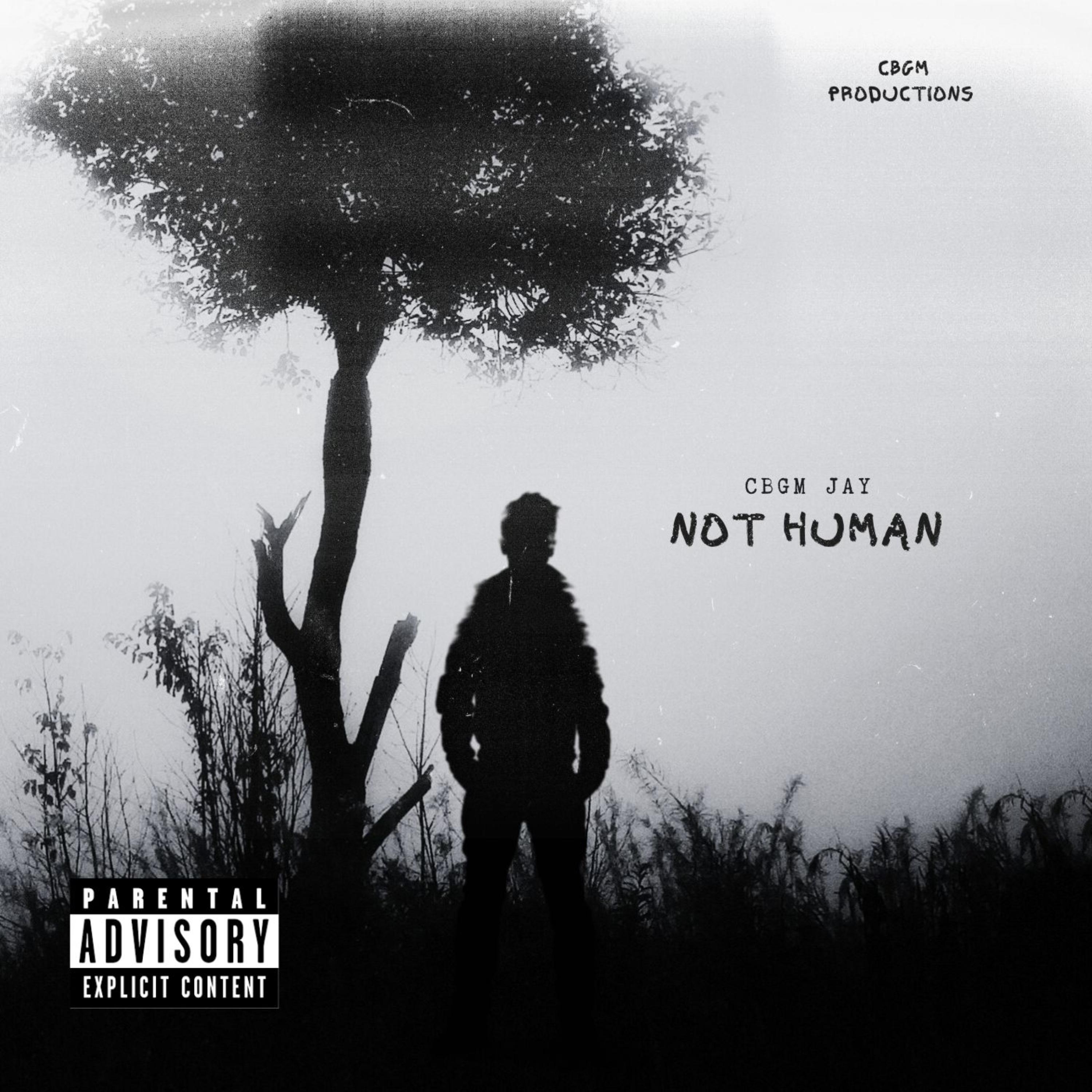Not Human artwork