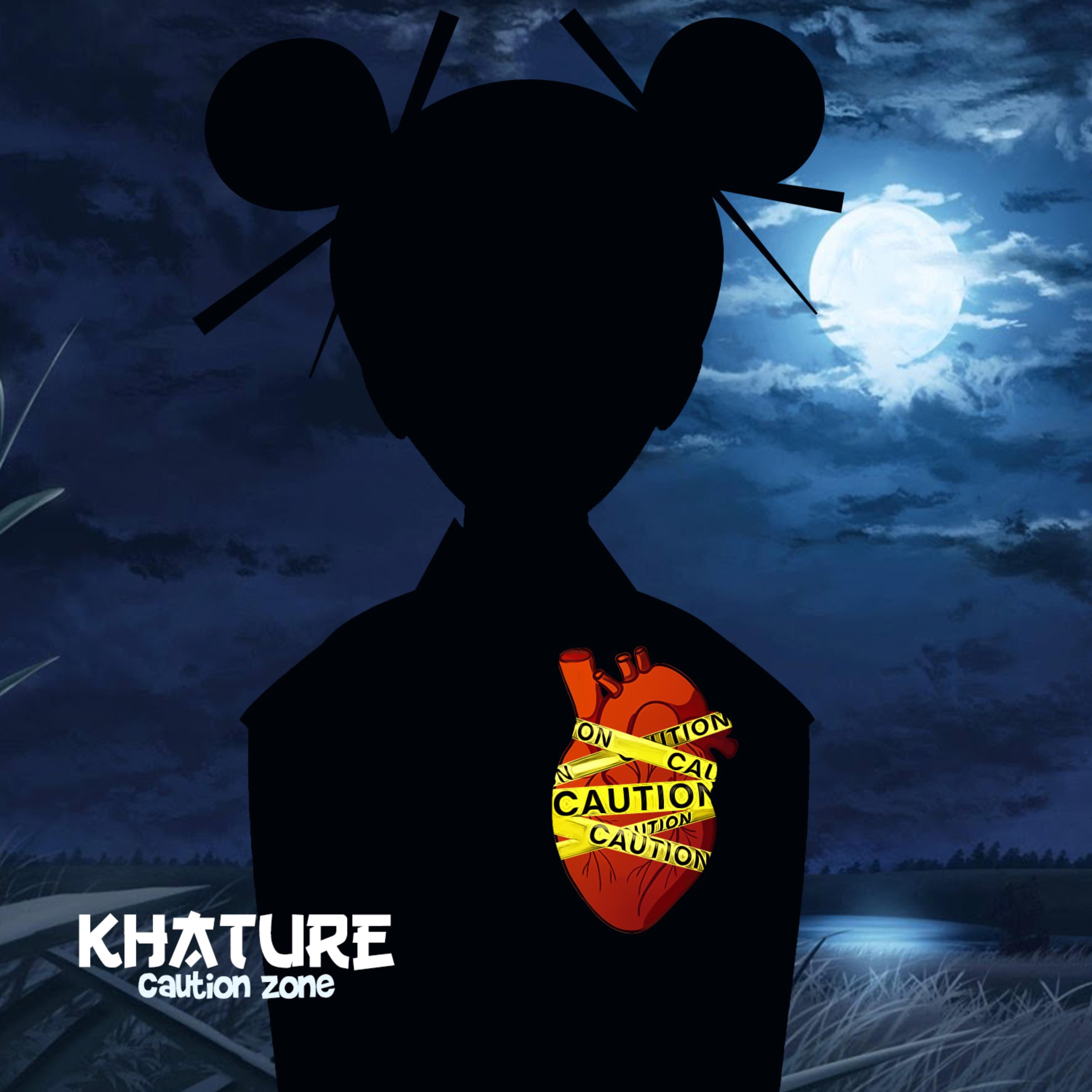 Caution Zone artwork