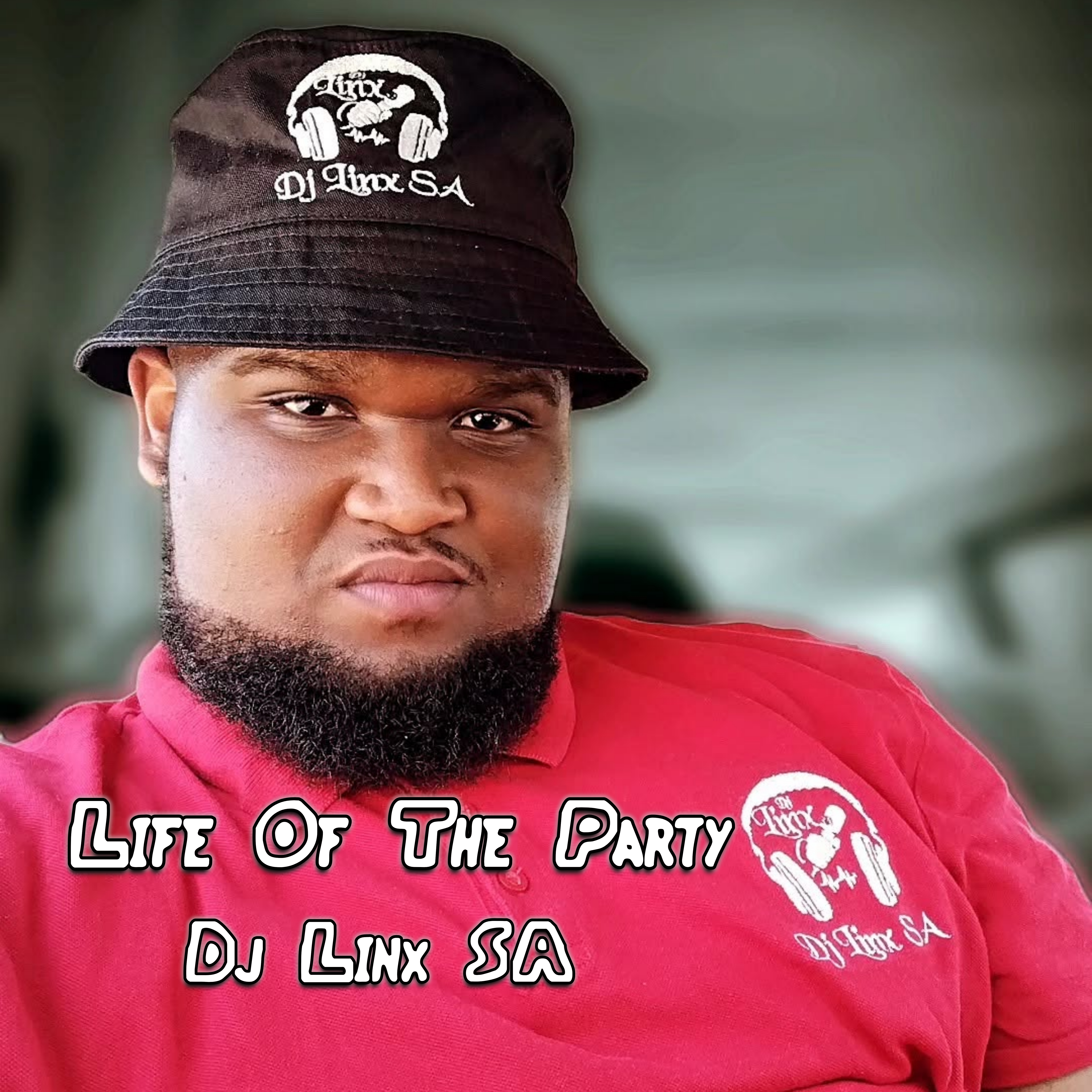 Life Of The Party artwork