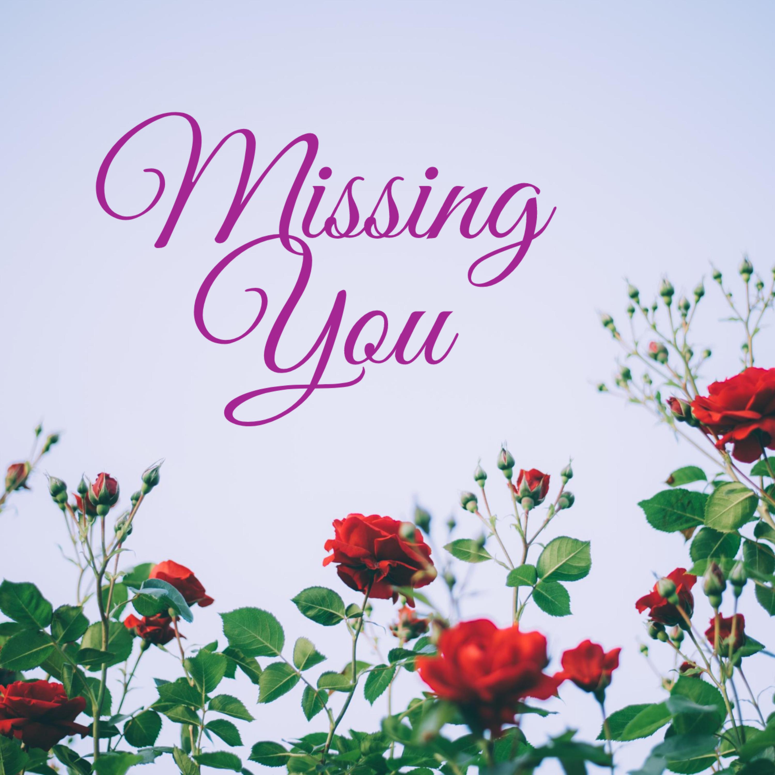 Missing You. artwork