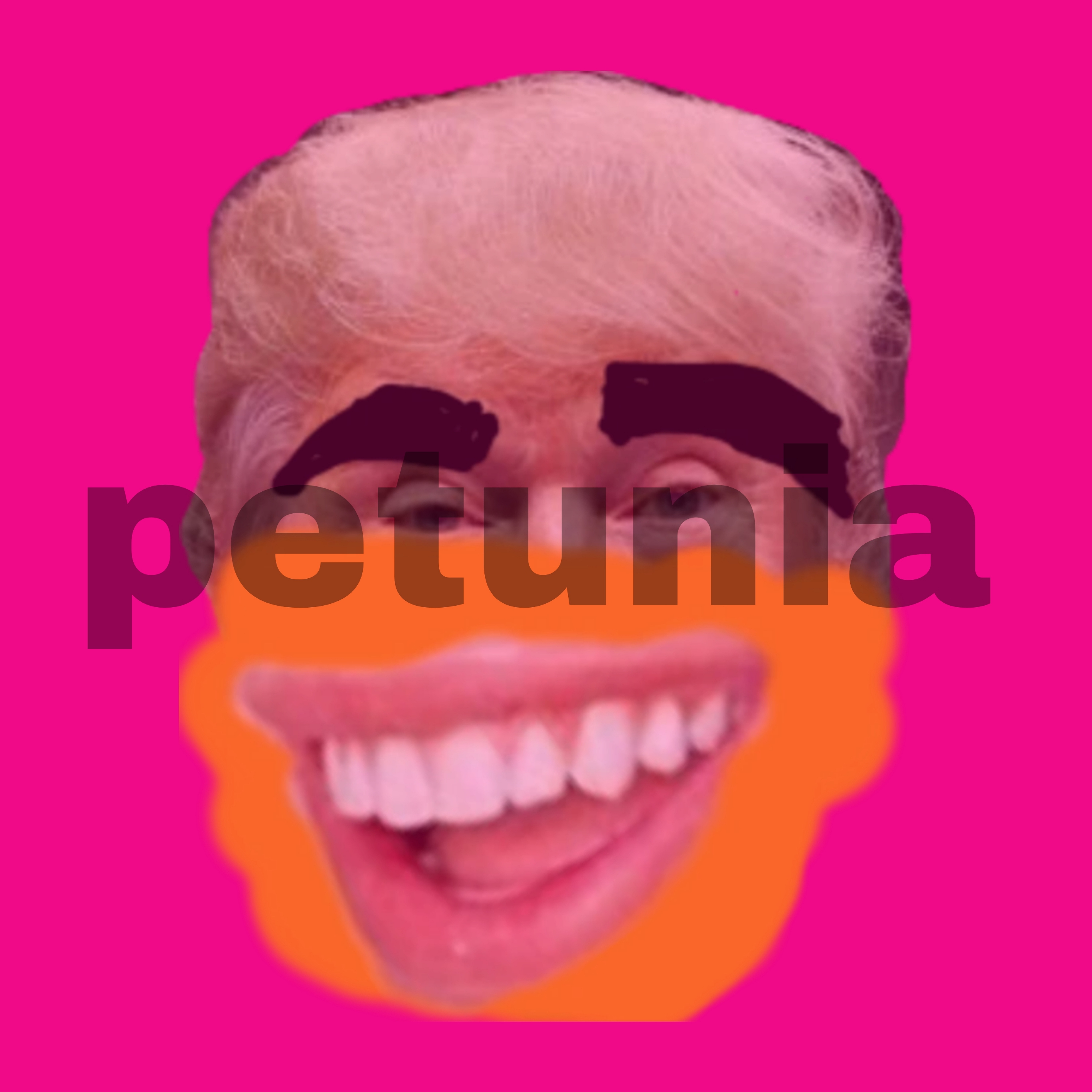 petunia artwork
