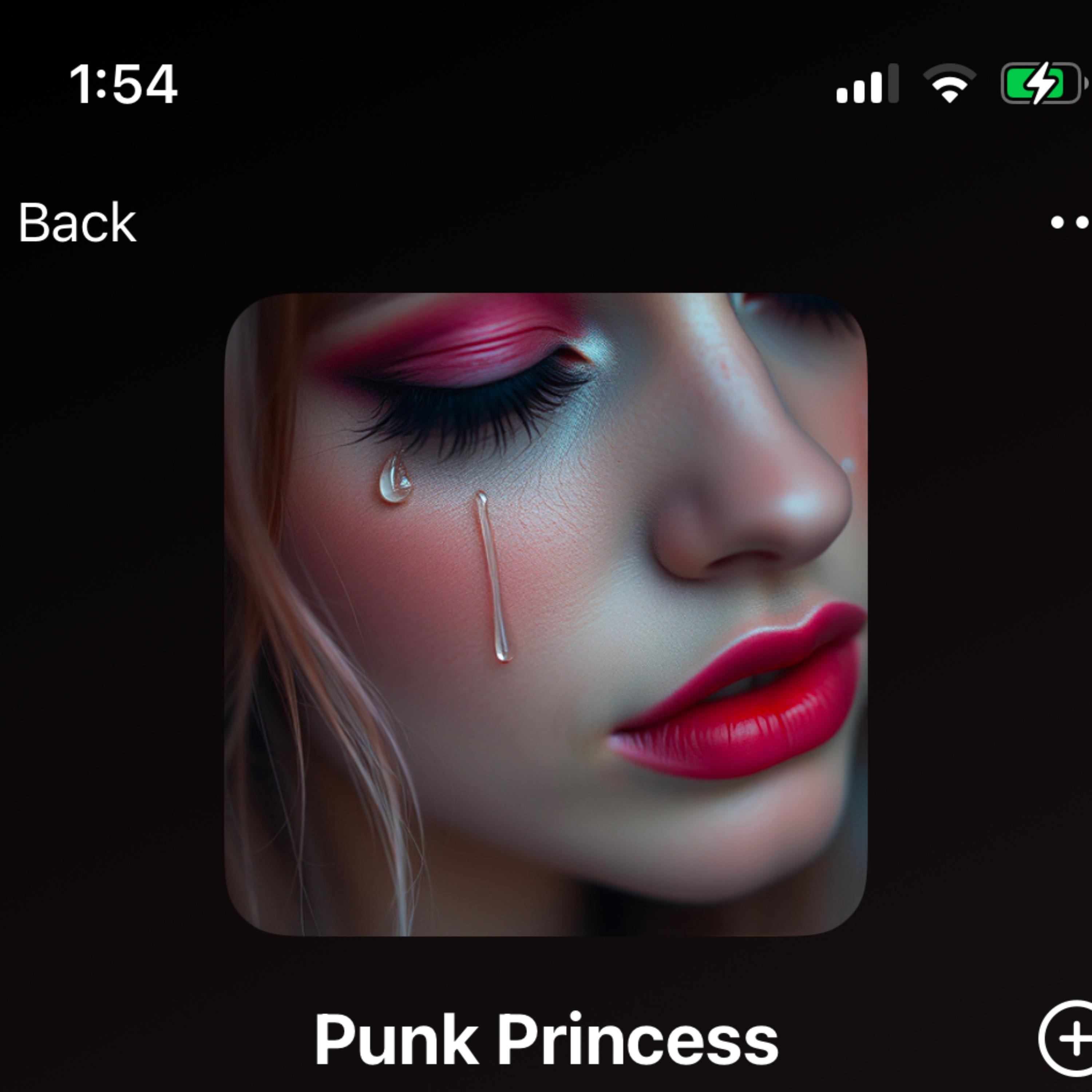 Punk Princess artwork