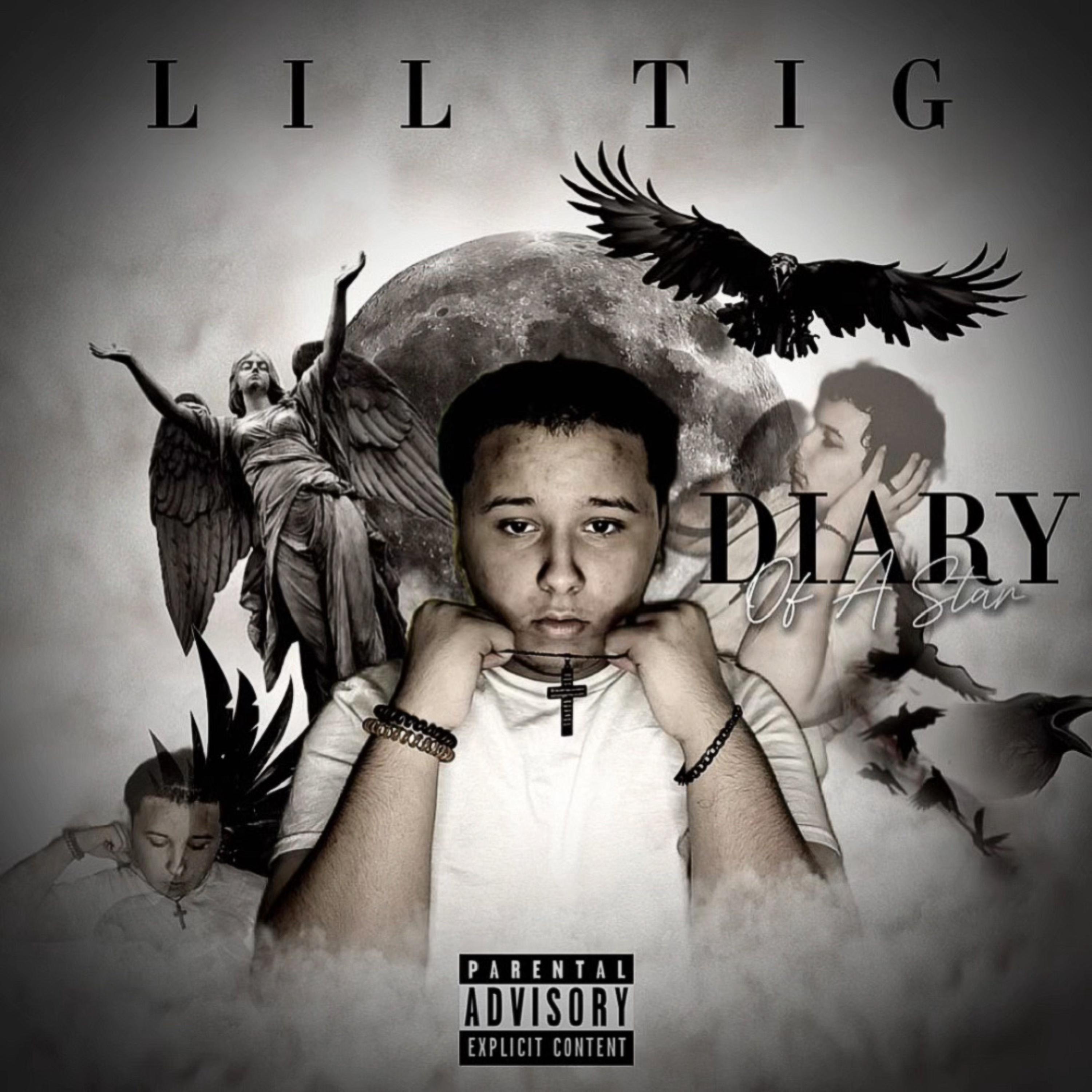 Diary Of A Star artwork