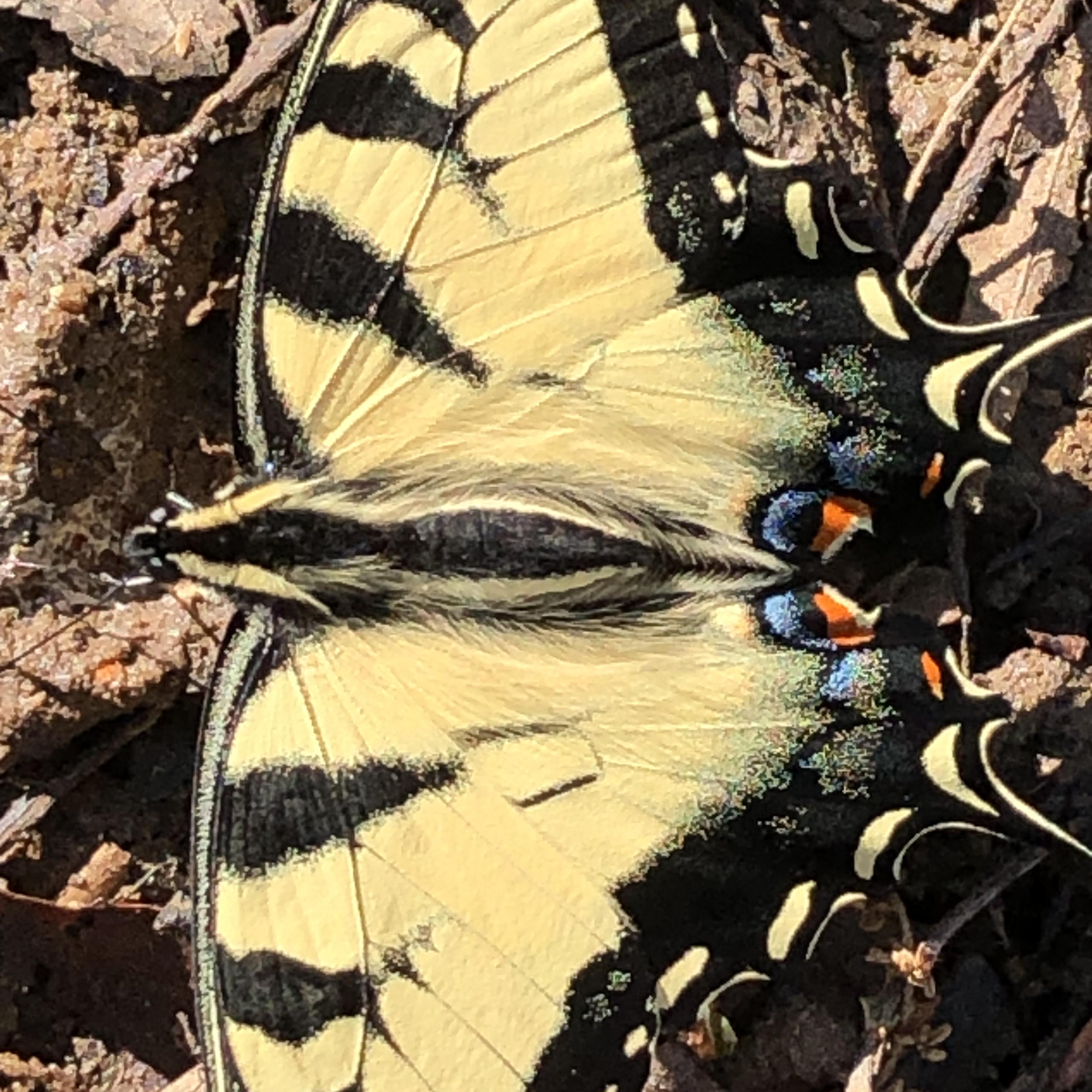 I’m Fine With It artwork