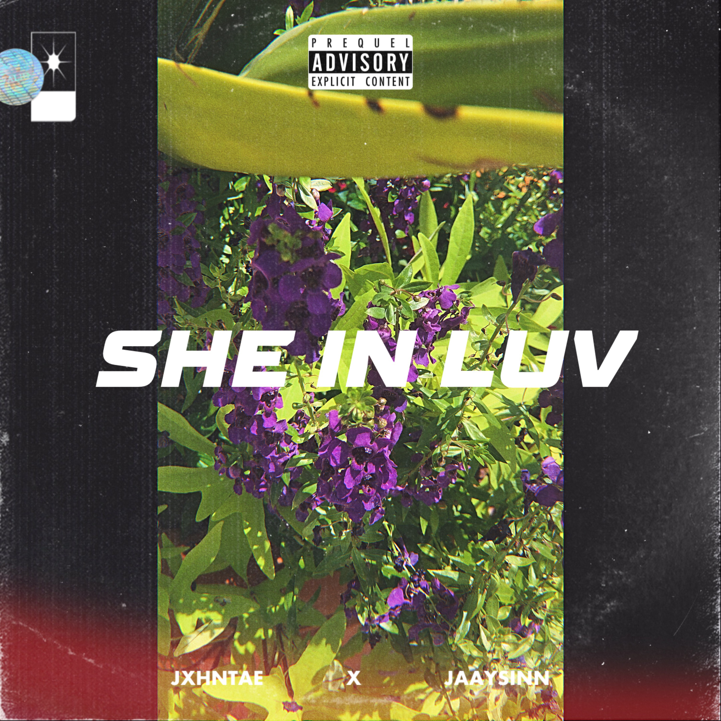 She In Luv (remastered) by Notf0rever cover art