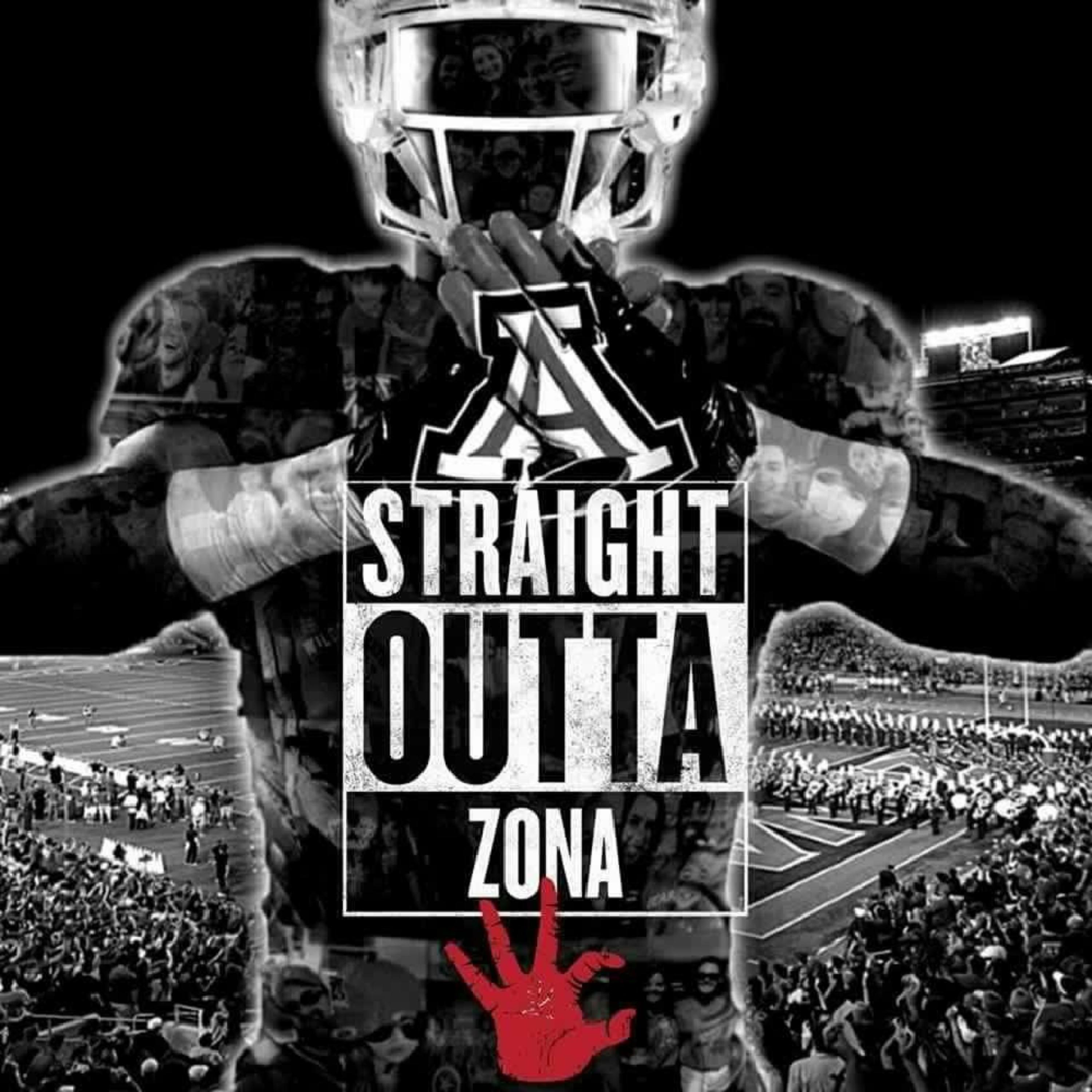 Zona artwork