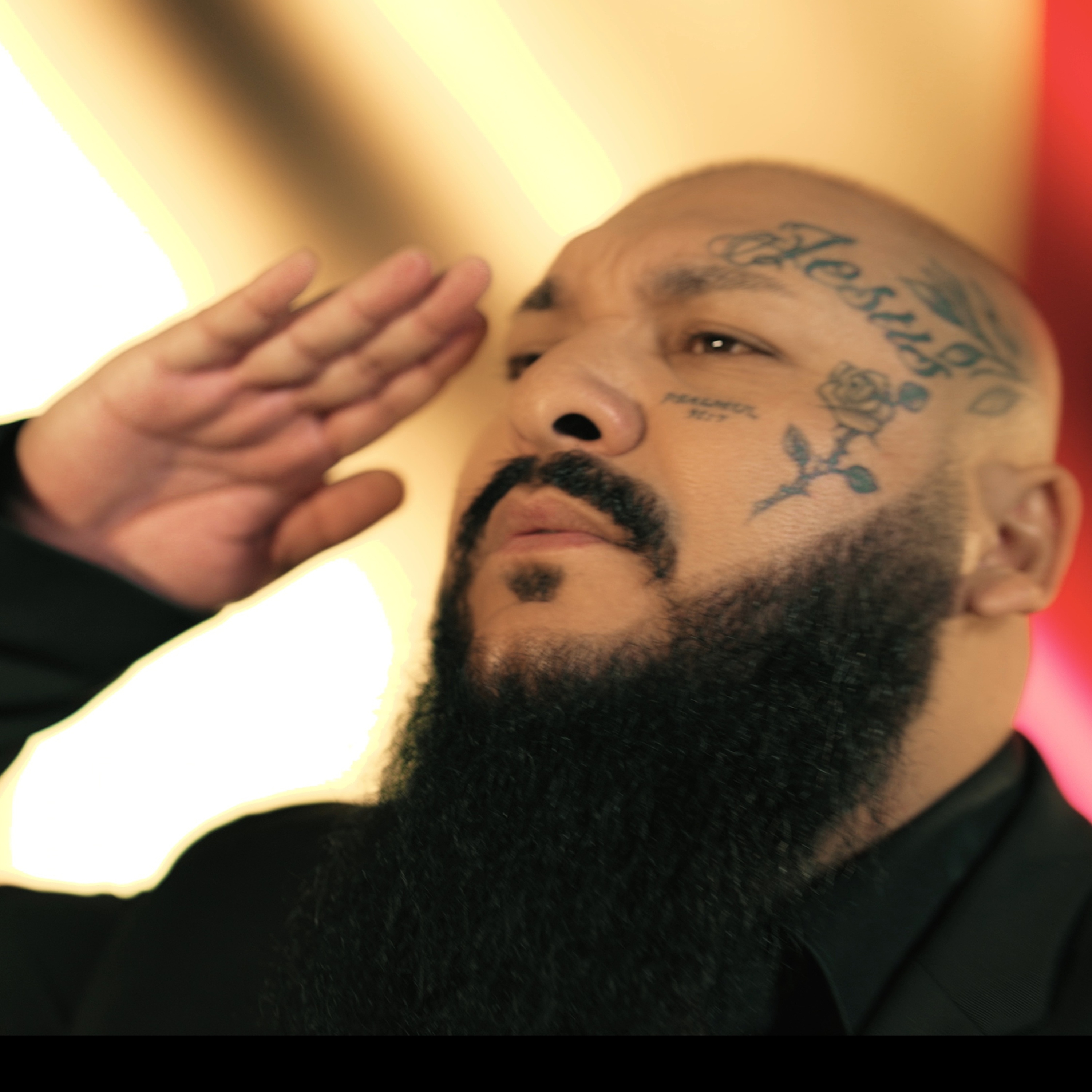 Generalul Nicolae Ciuca artwork