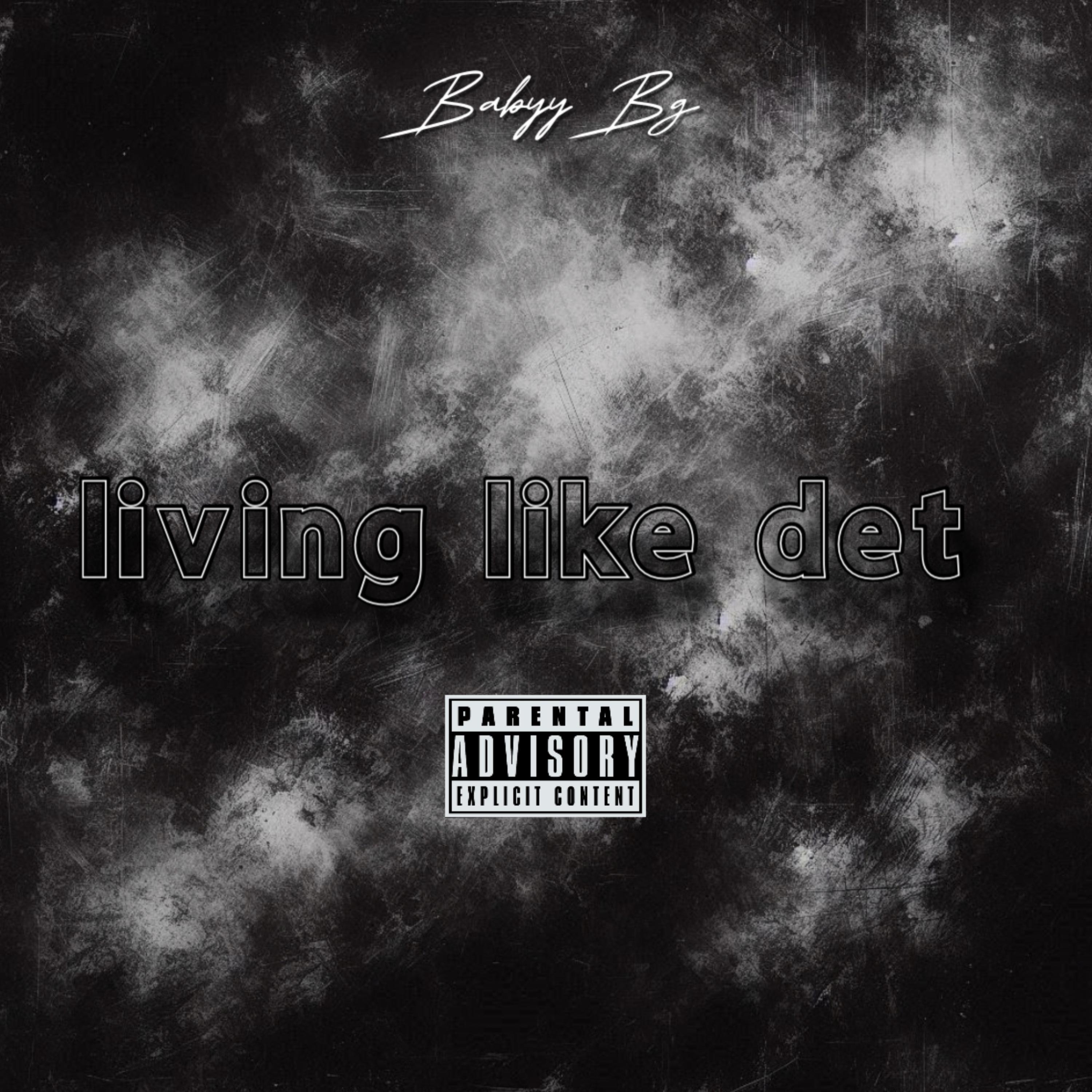 Livin Like Det artwork