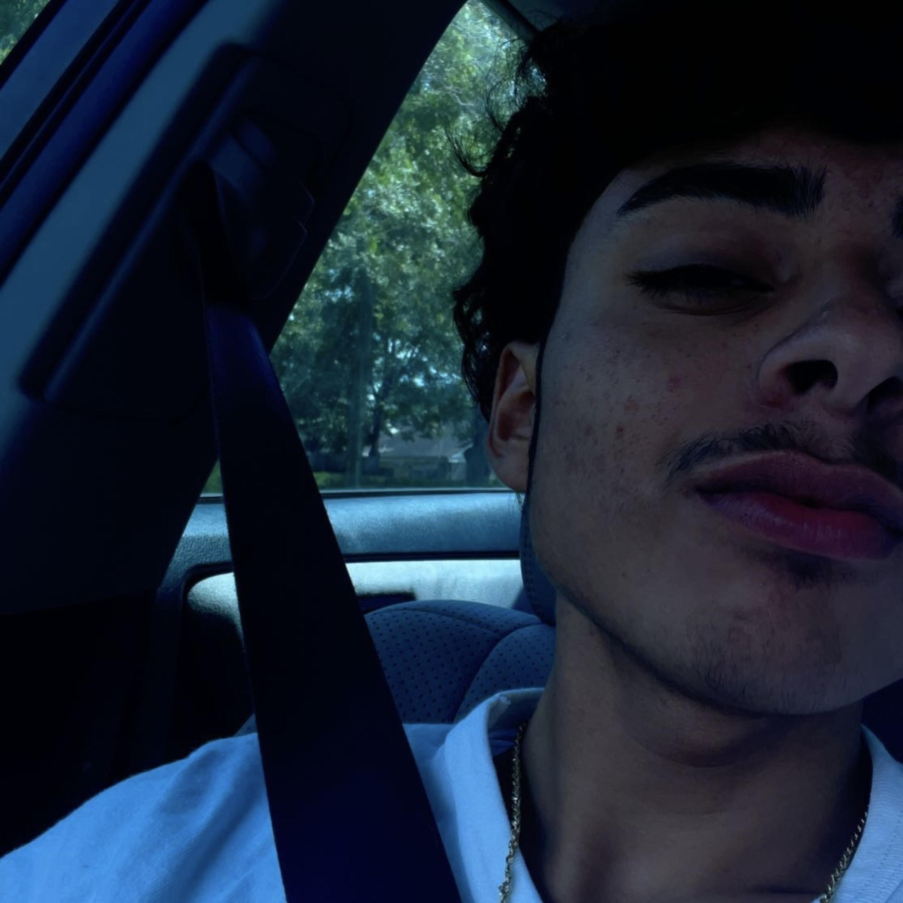 FREESTYLEican’tlie artwork