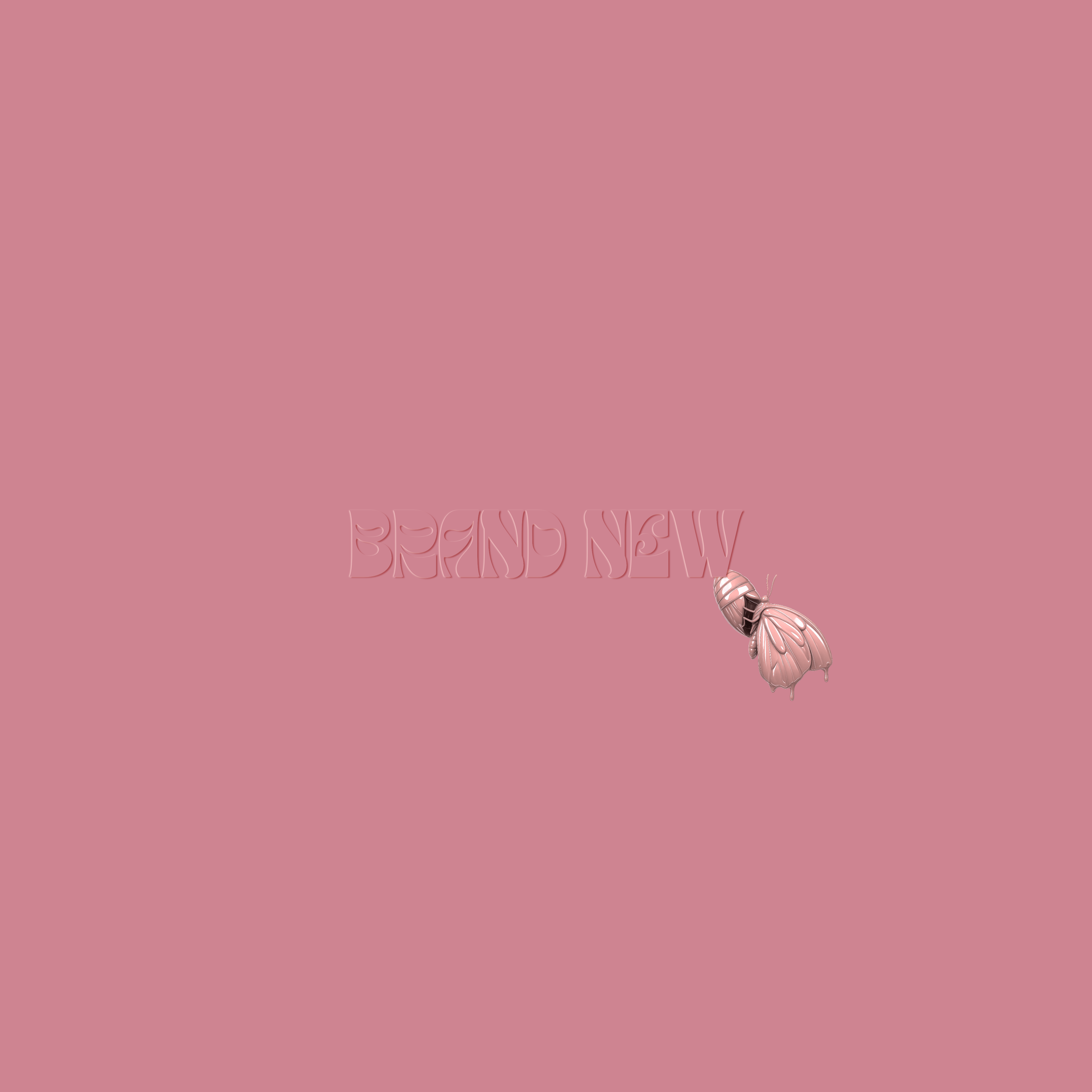 Brand New by Tarik cover art