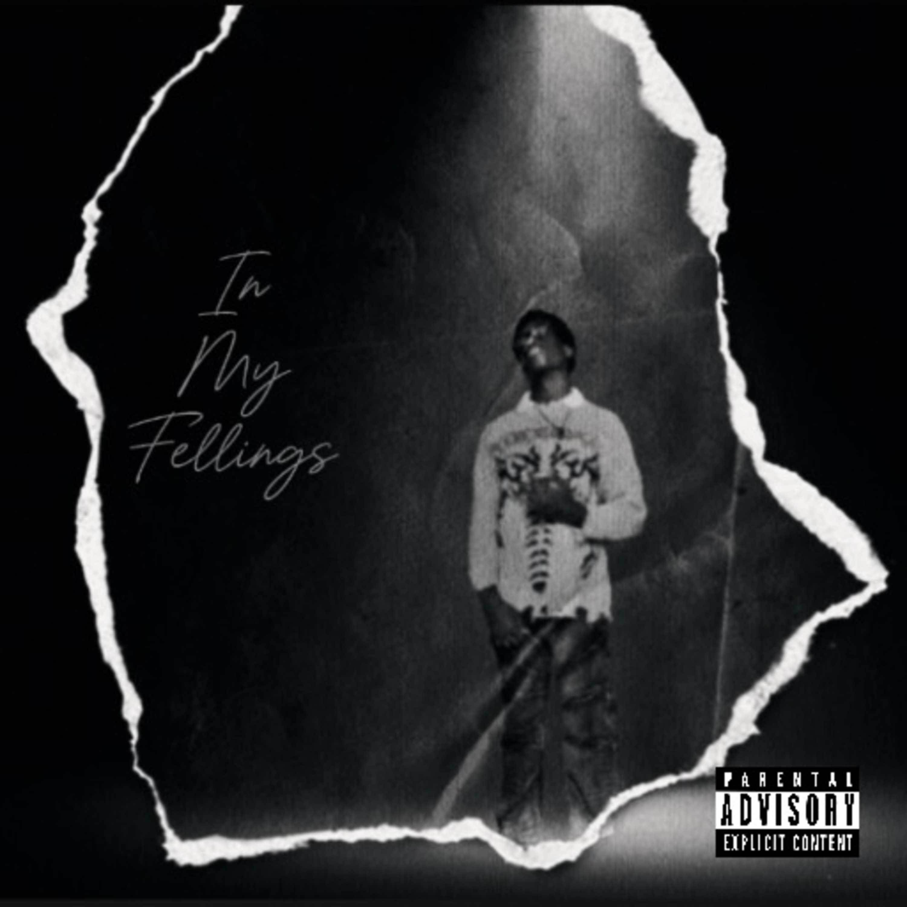 In My Feelings artwork