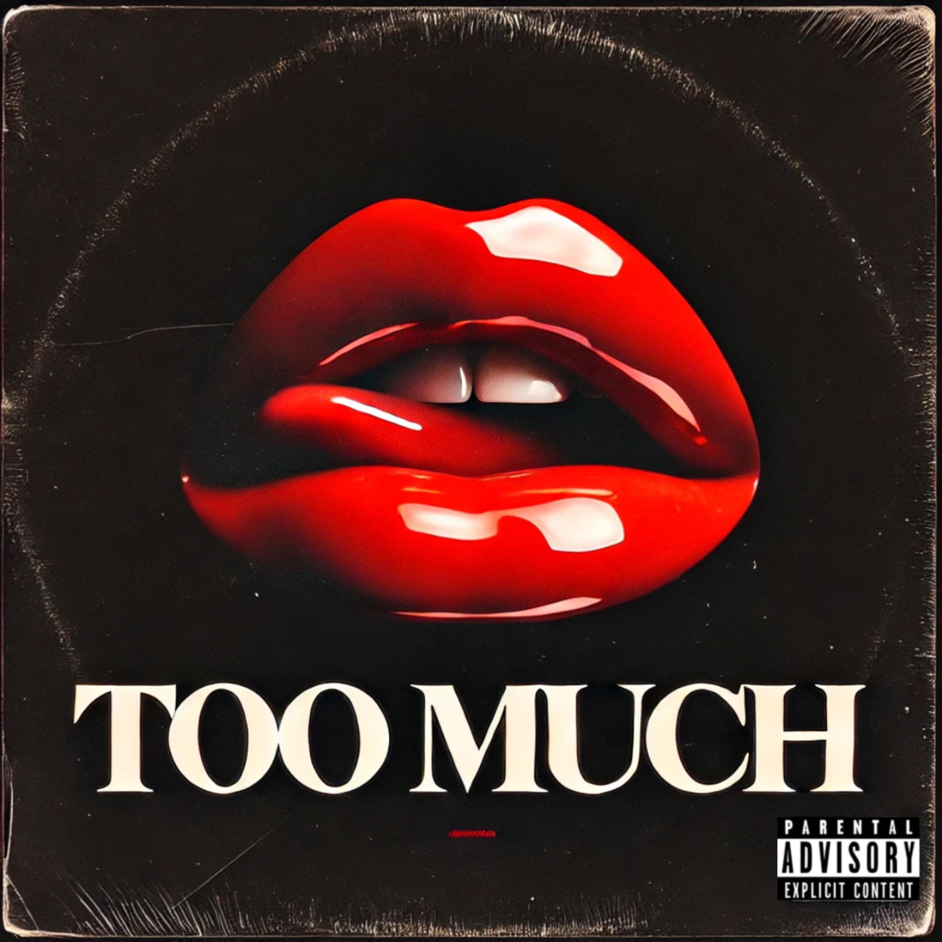 TOO MUCH artwork