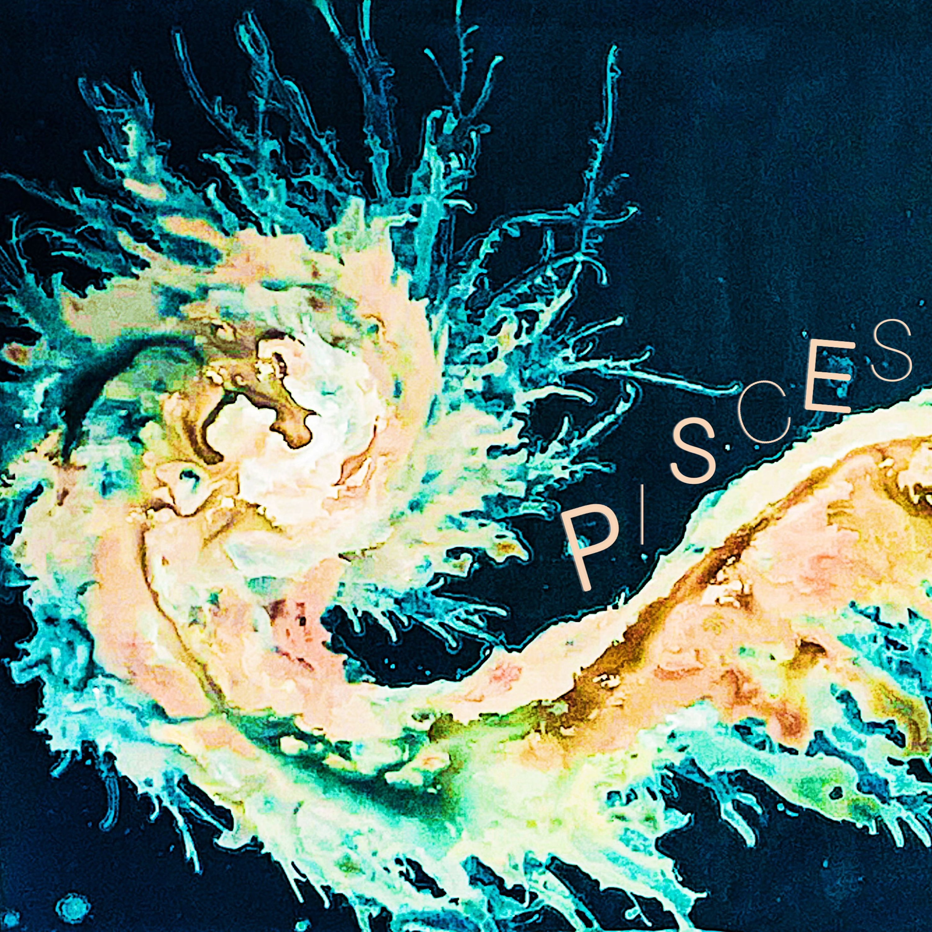 PISCES artwork