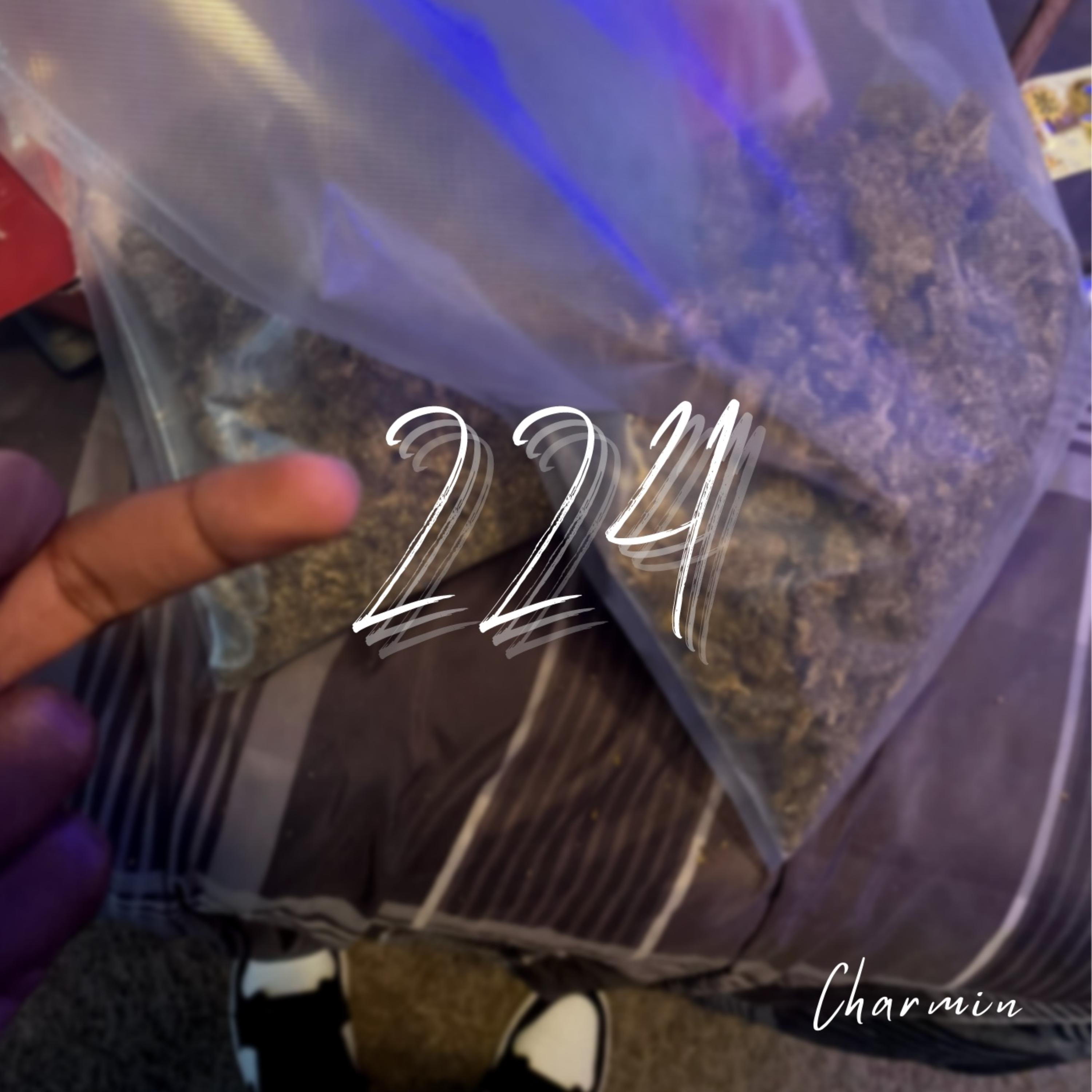224 by Charmin Ace cover art