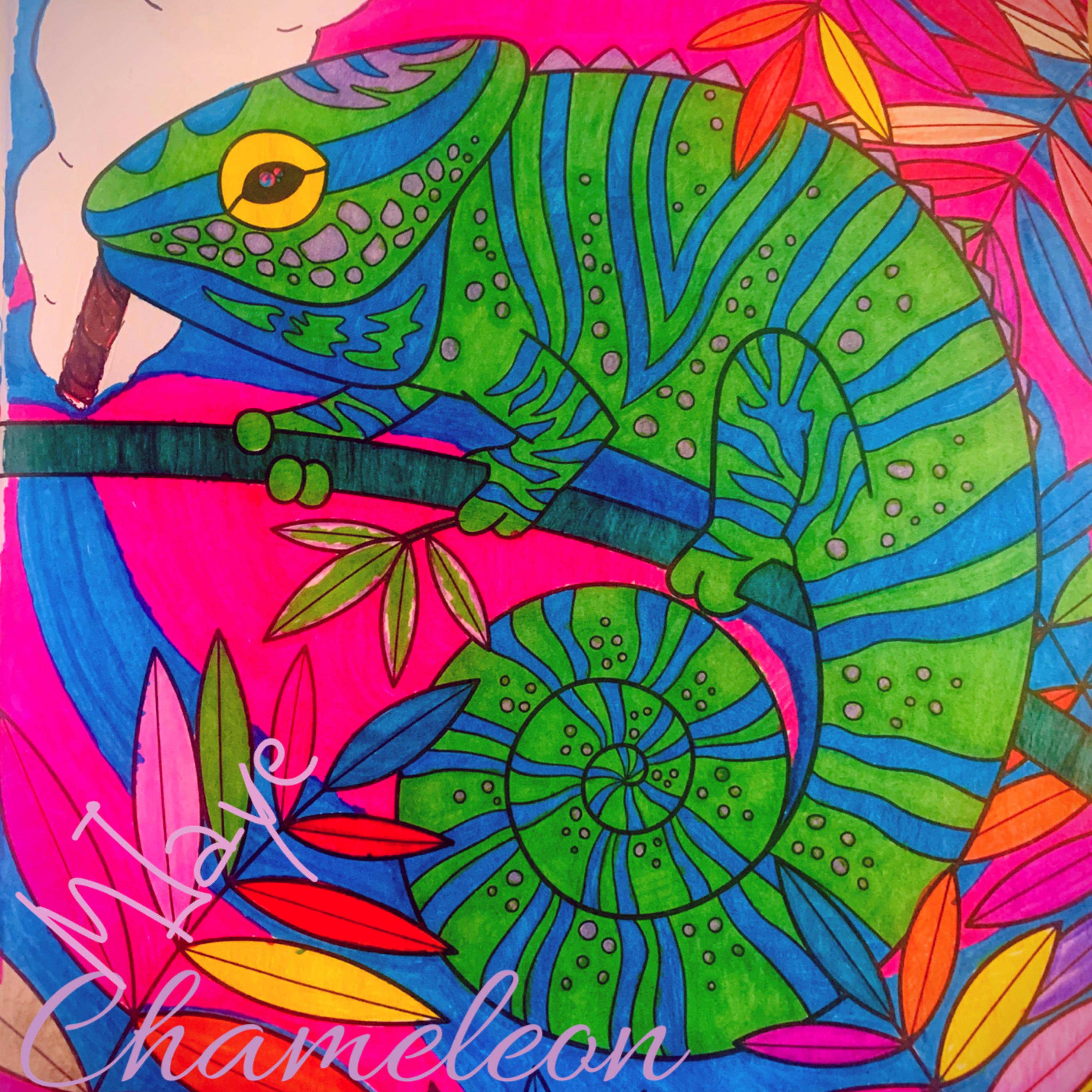 Chameleon artwork