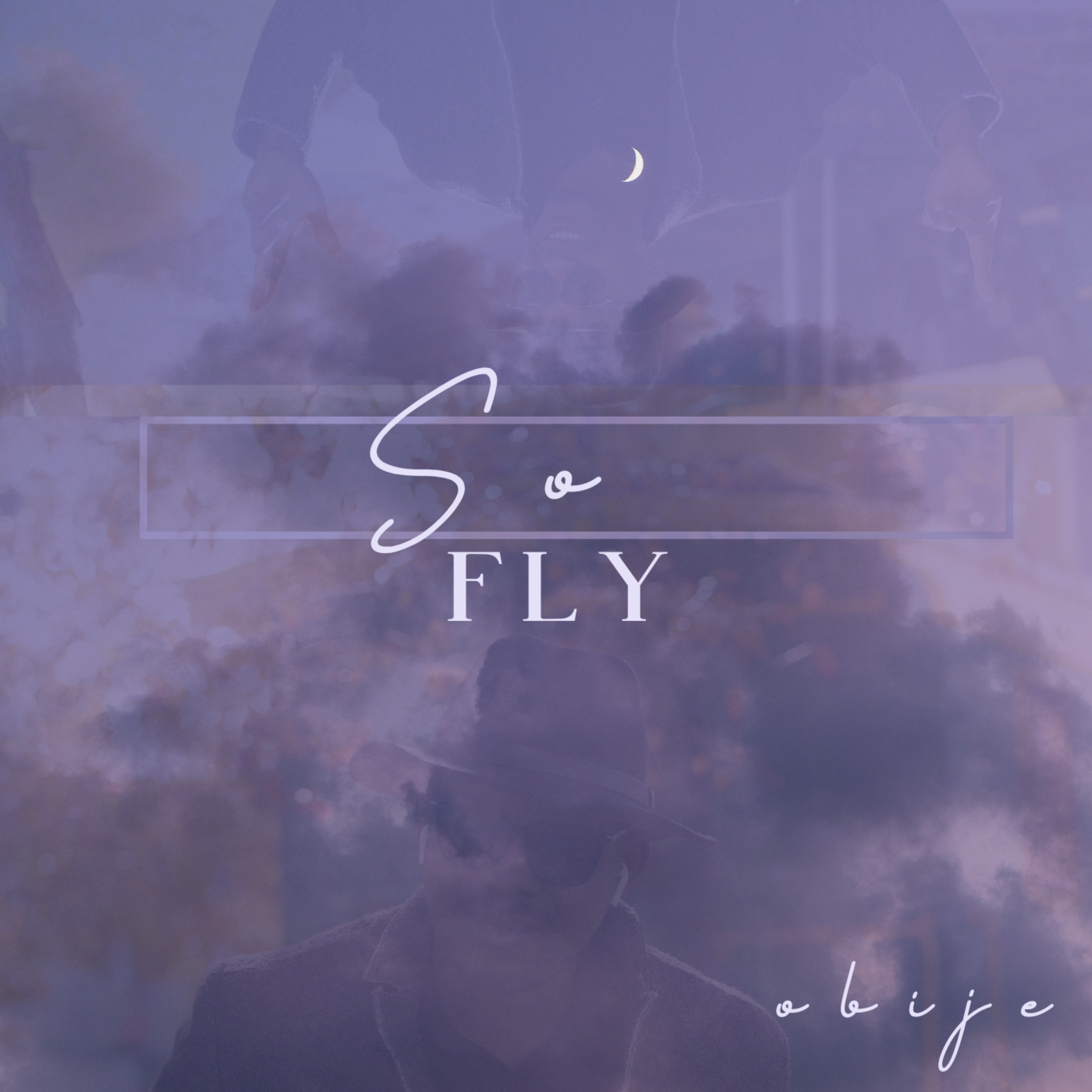 So Fly artwork