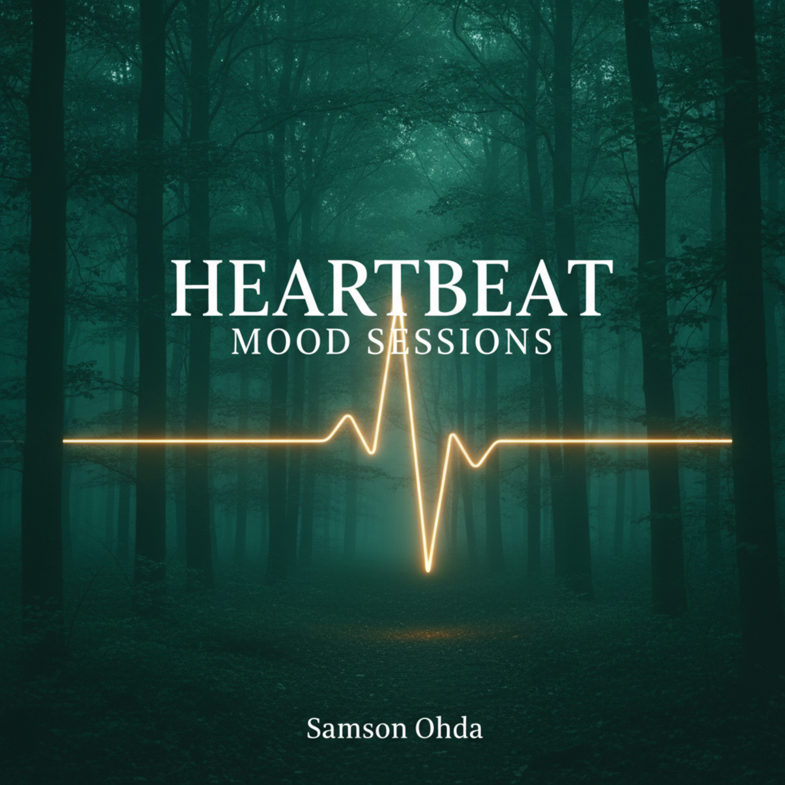 Heartbeat Mood Sessions artwork
