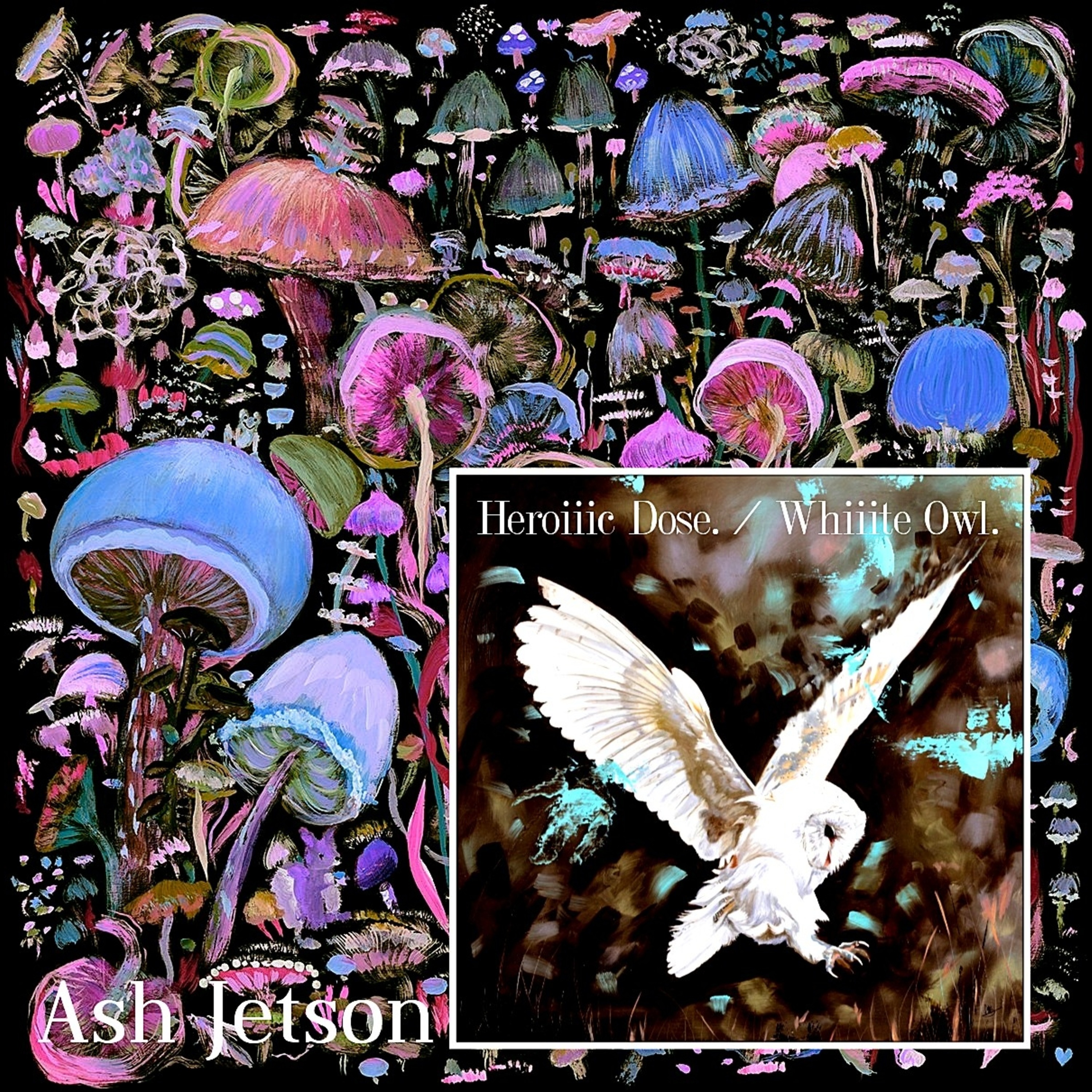 Heroiiic Dose. / Whiiite Owl. by Ash Jetson cover art