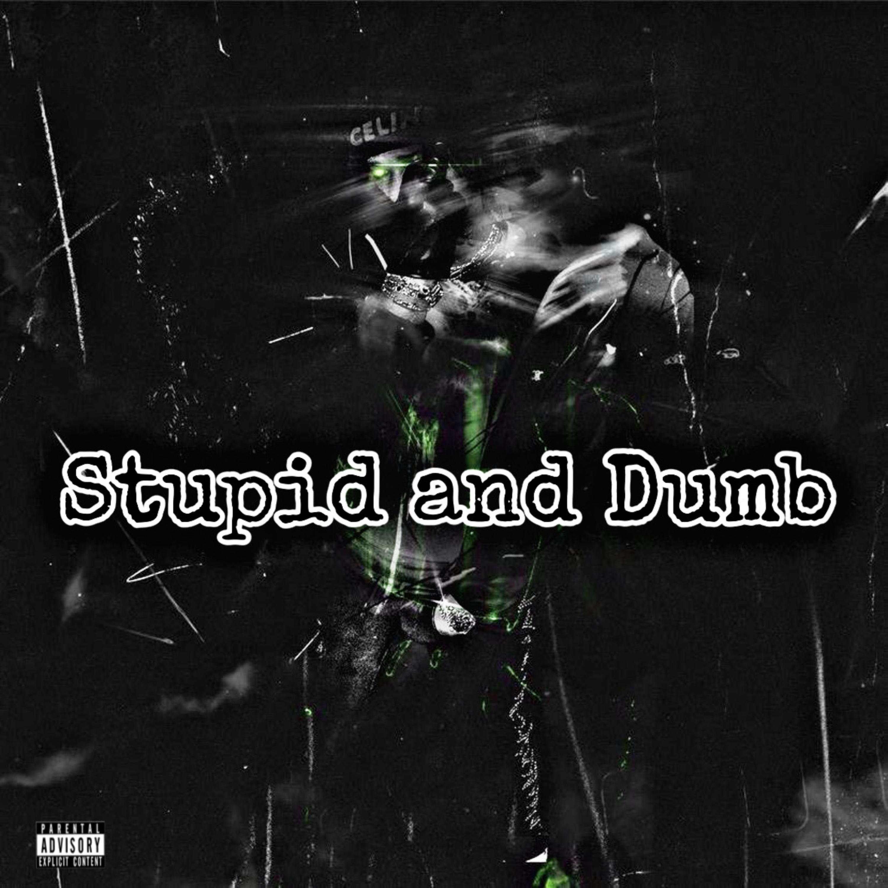Stupid and Dumb artwork