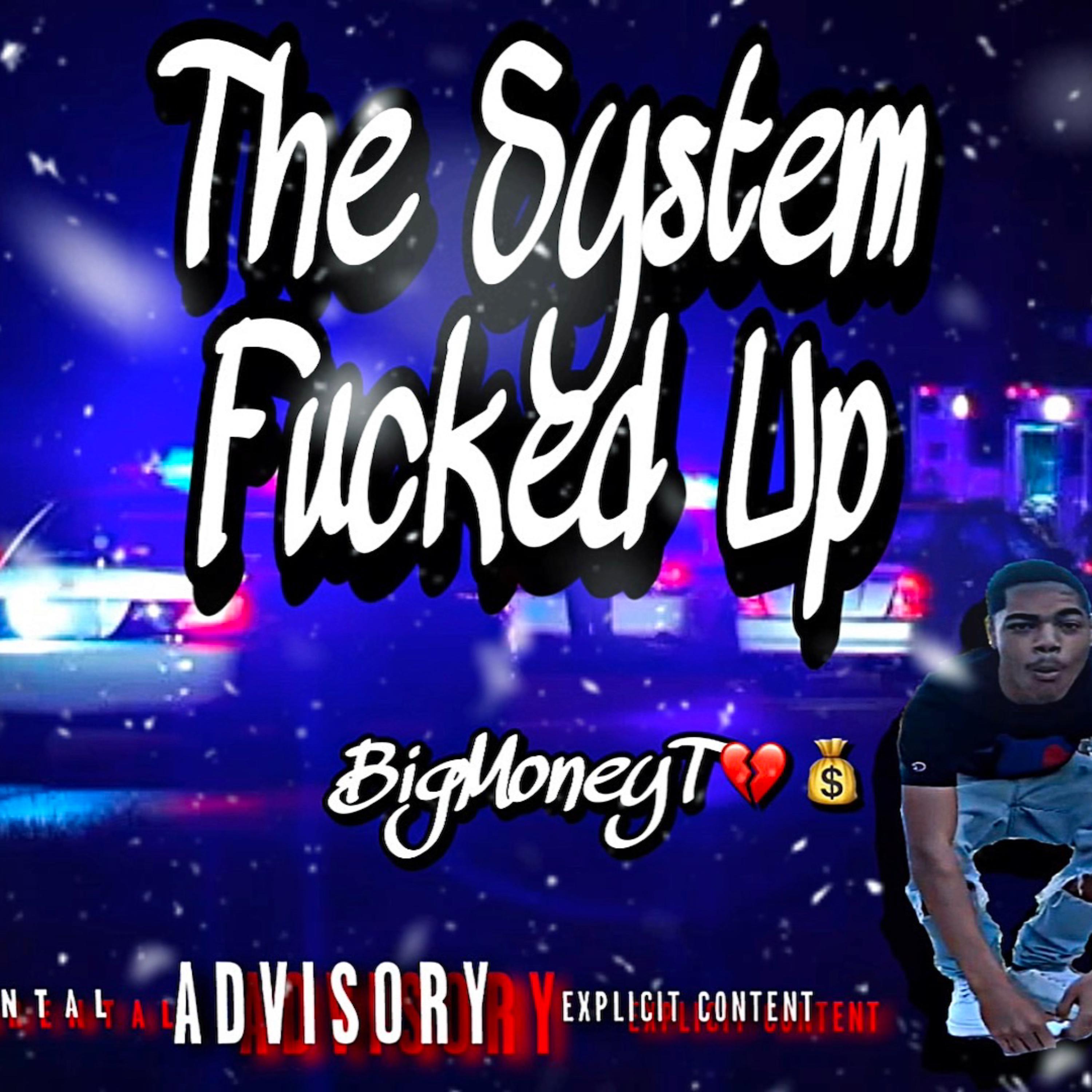 The System Fucked Up artwork