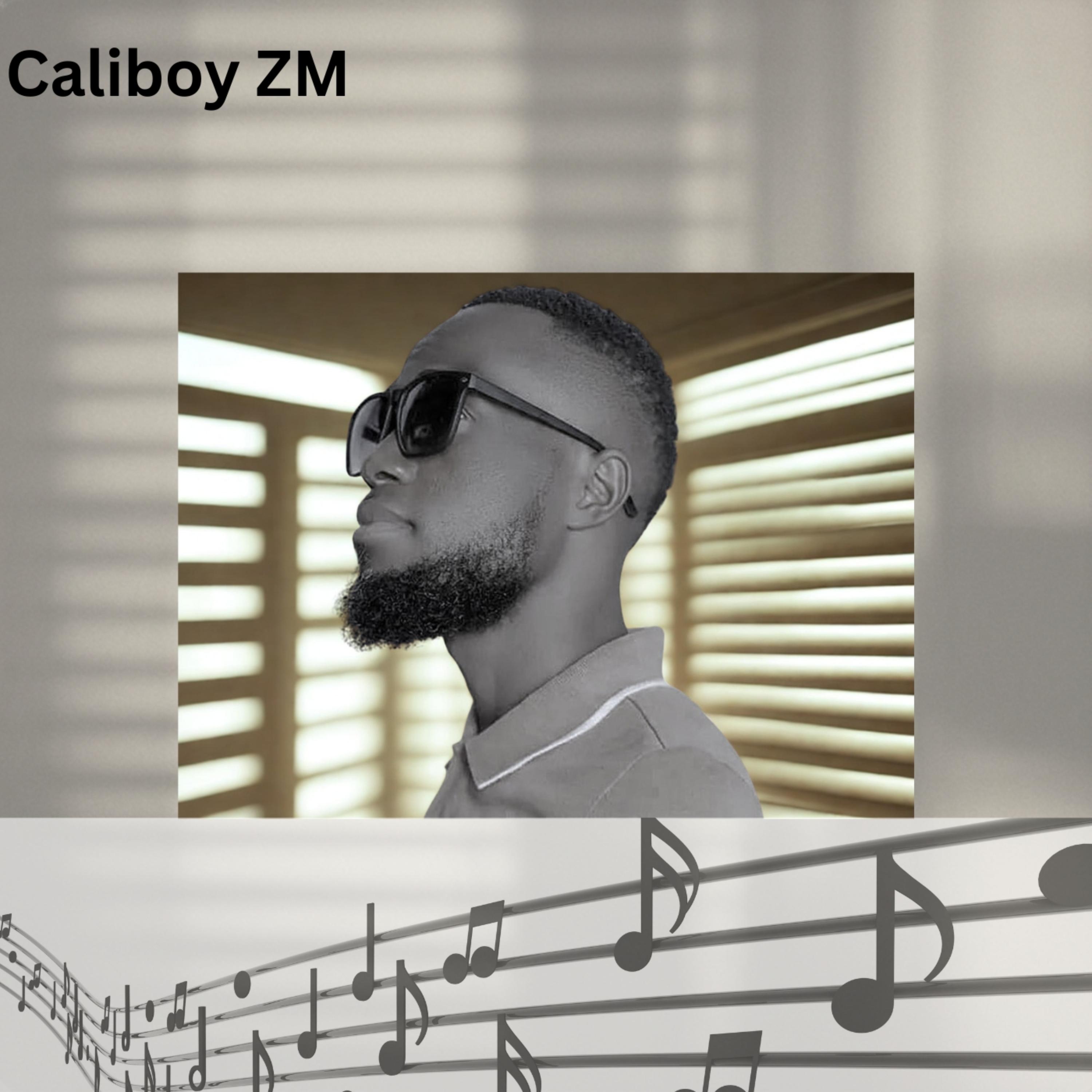 Touch down, I'm finally aligned by Caliboy ZM cover art