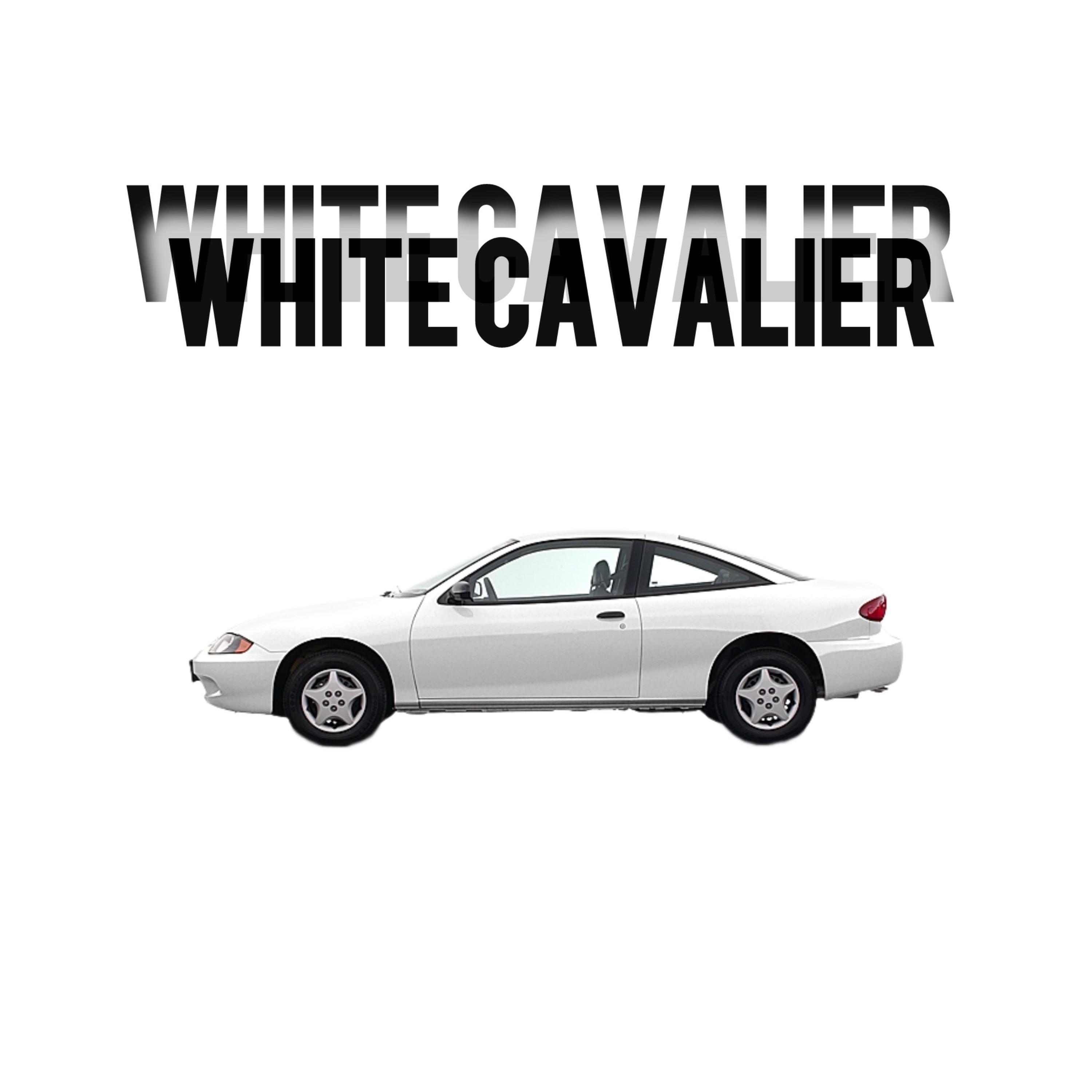 WHITE CAVALIER artwork