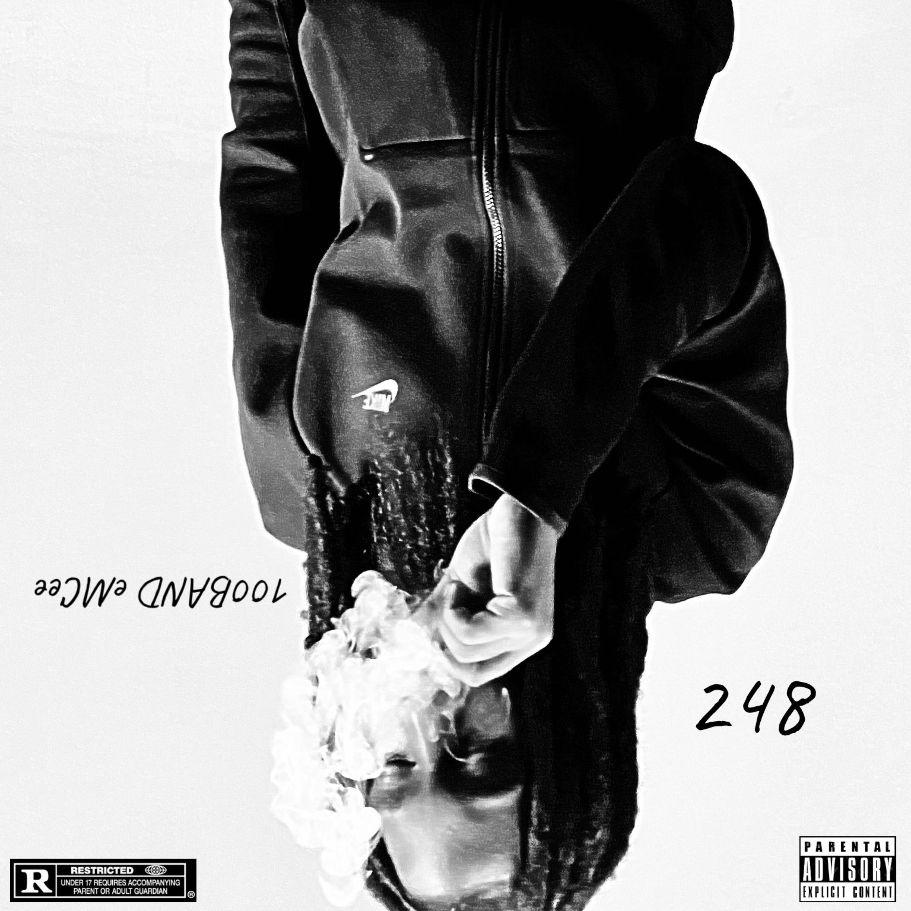 248 artwork