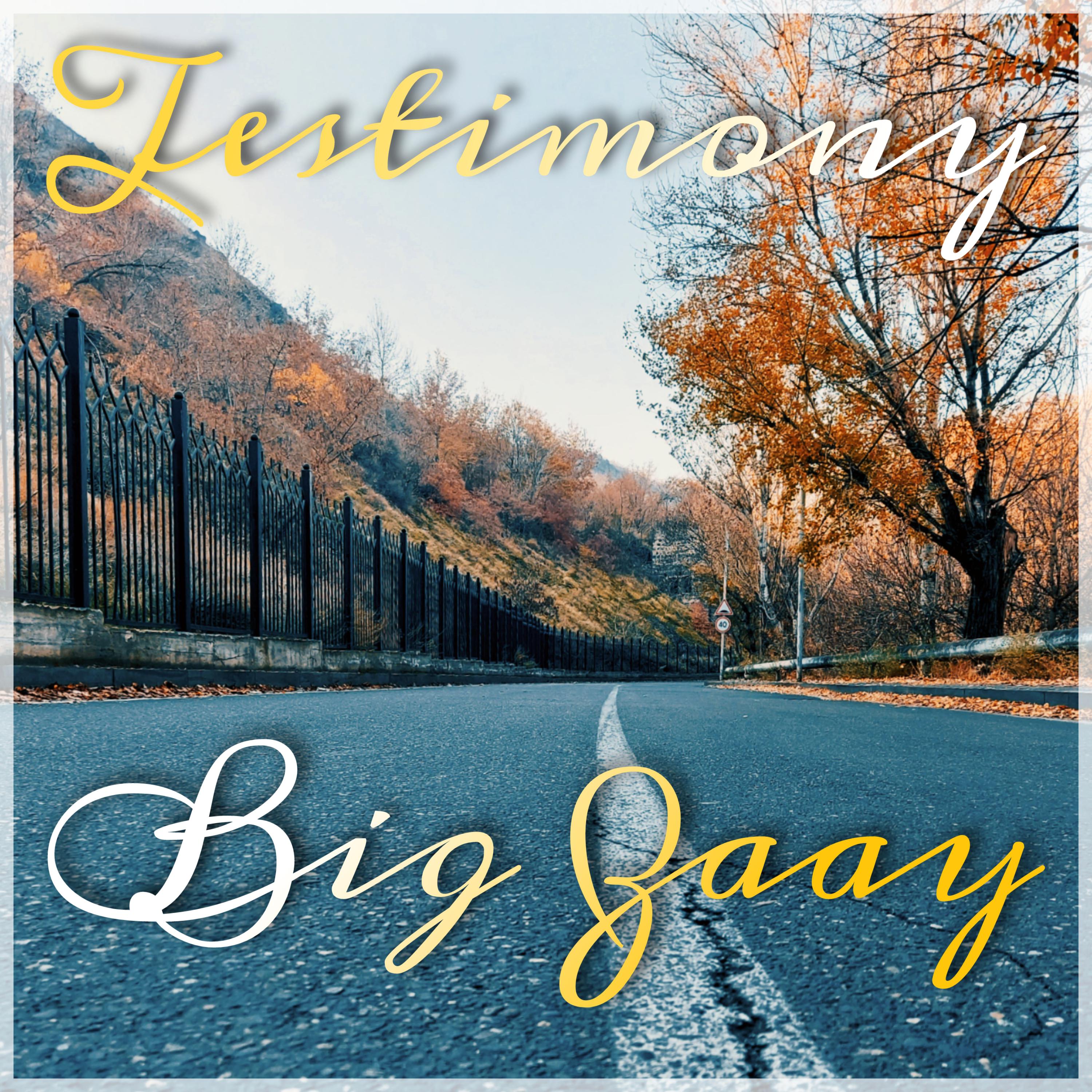 Testimony by Big Zaay  cover art